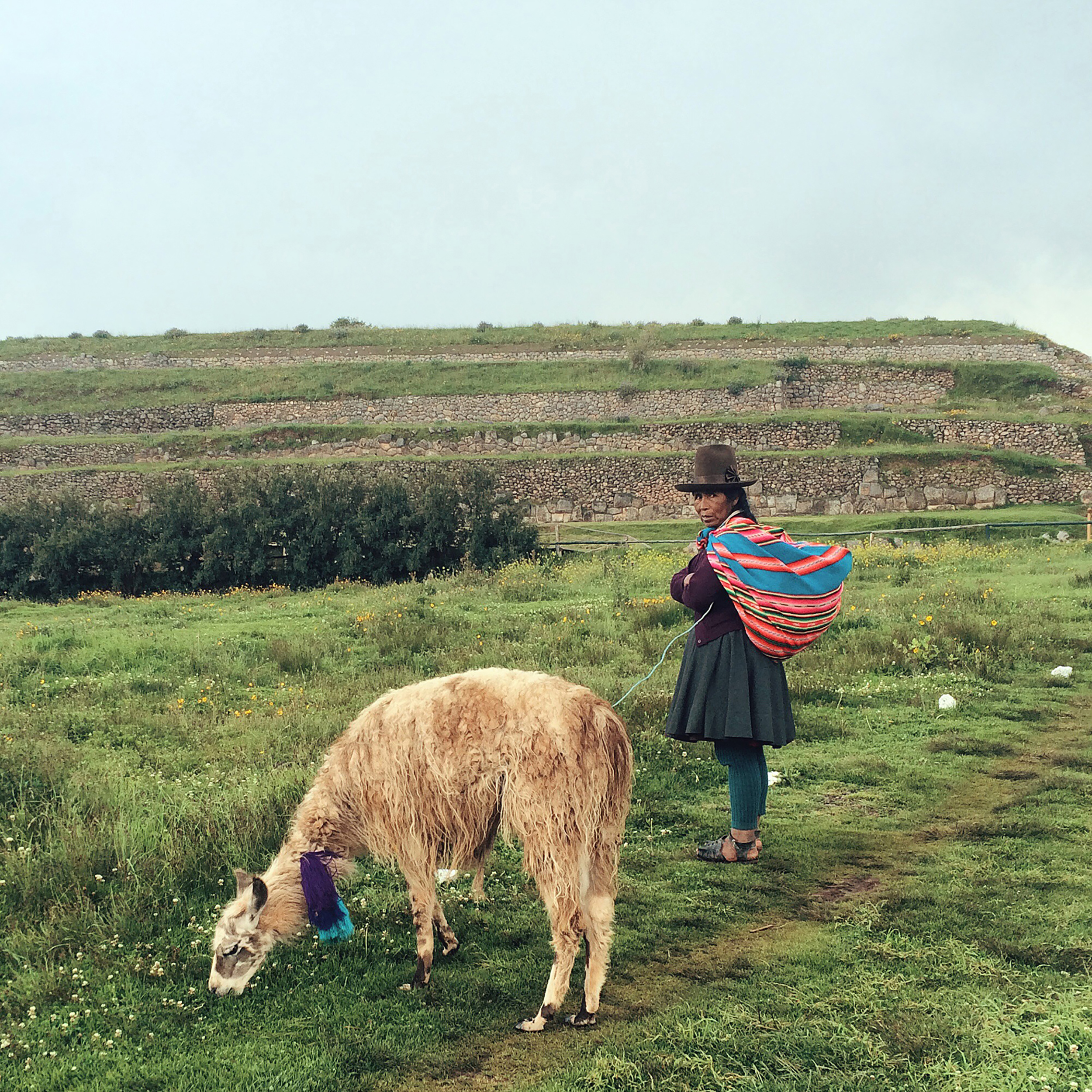 PERULindaCuzco, 2016 Index