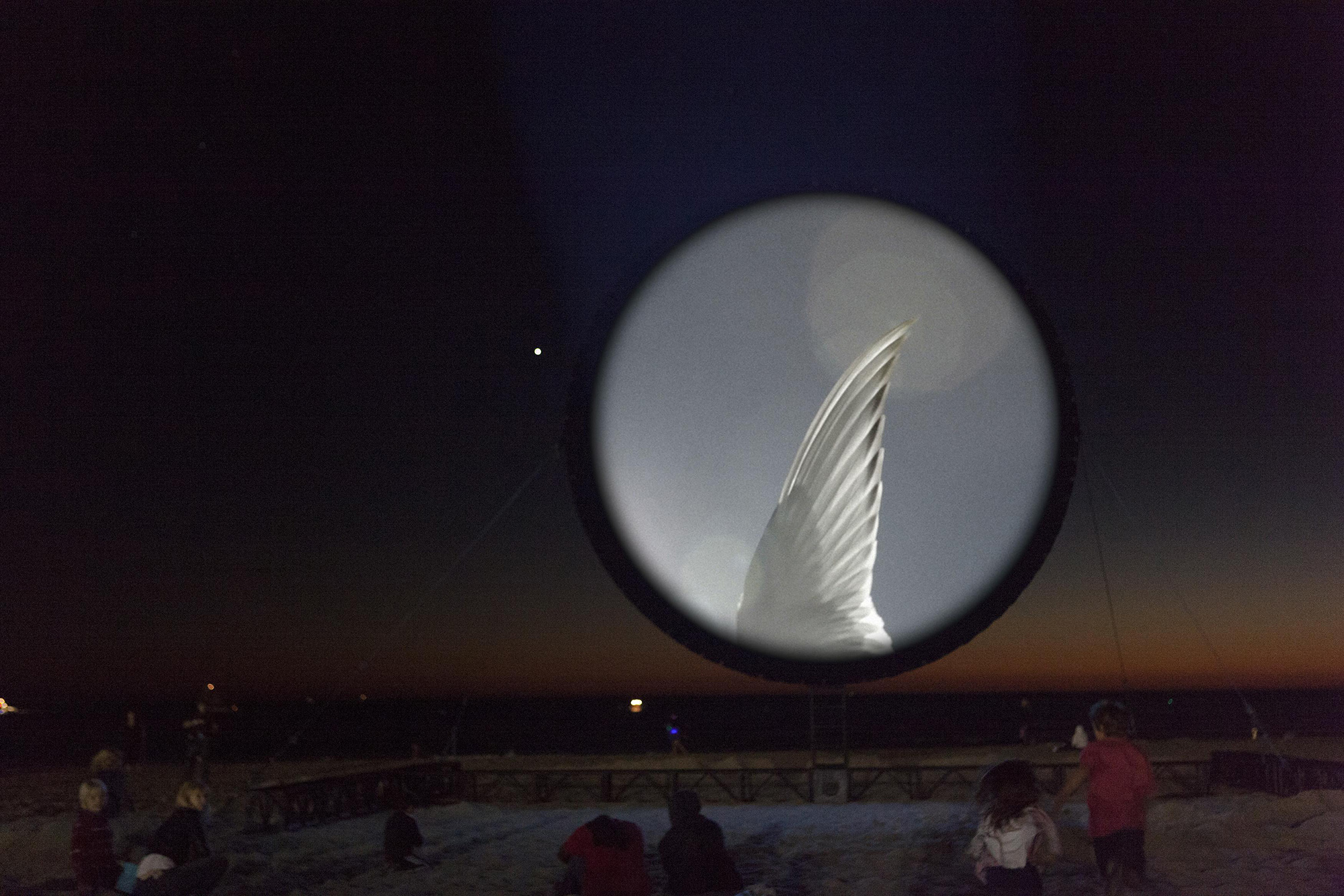 CircumSolar, Migration 1, 2013. Single-channel video installation. 26:20 minutes. Installation view: Glow, Santa Monica.