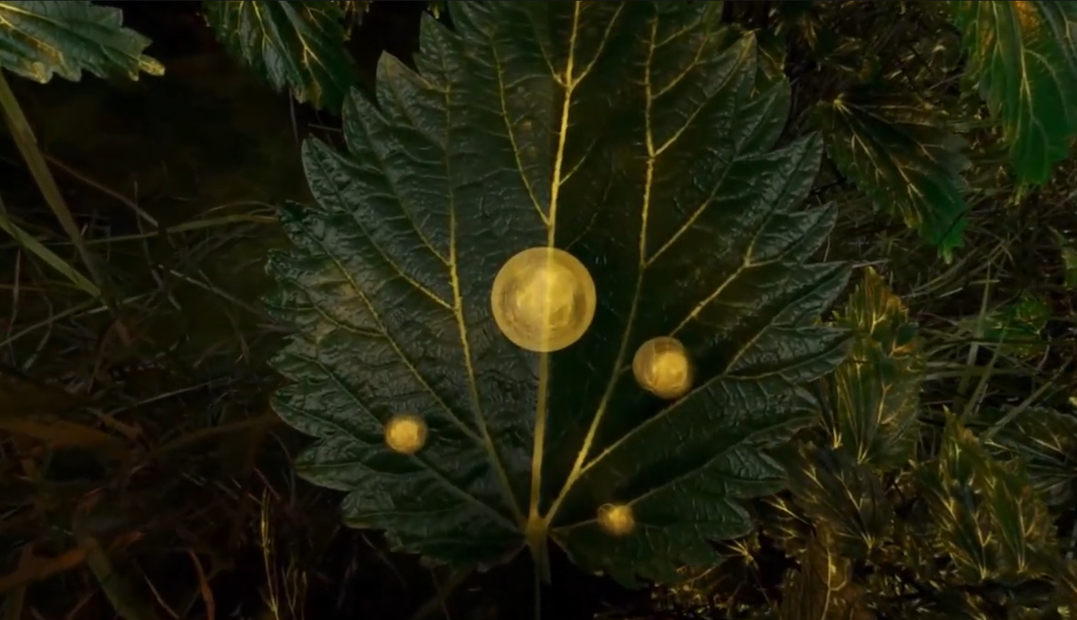 ShiseidoThe Power of EnmeiOriginal Music composition | Sound design | Dolby Unity Atmos VR implementation