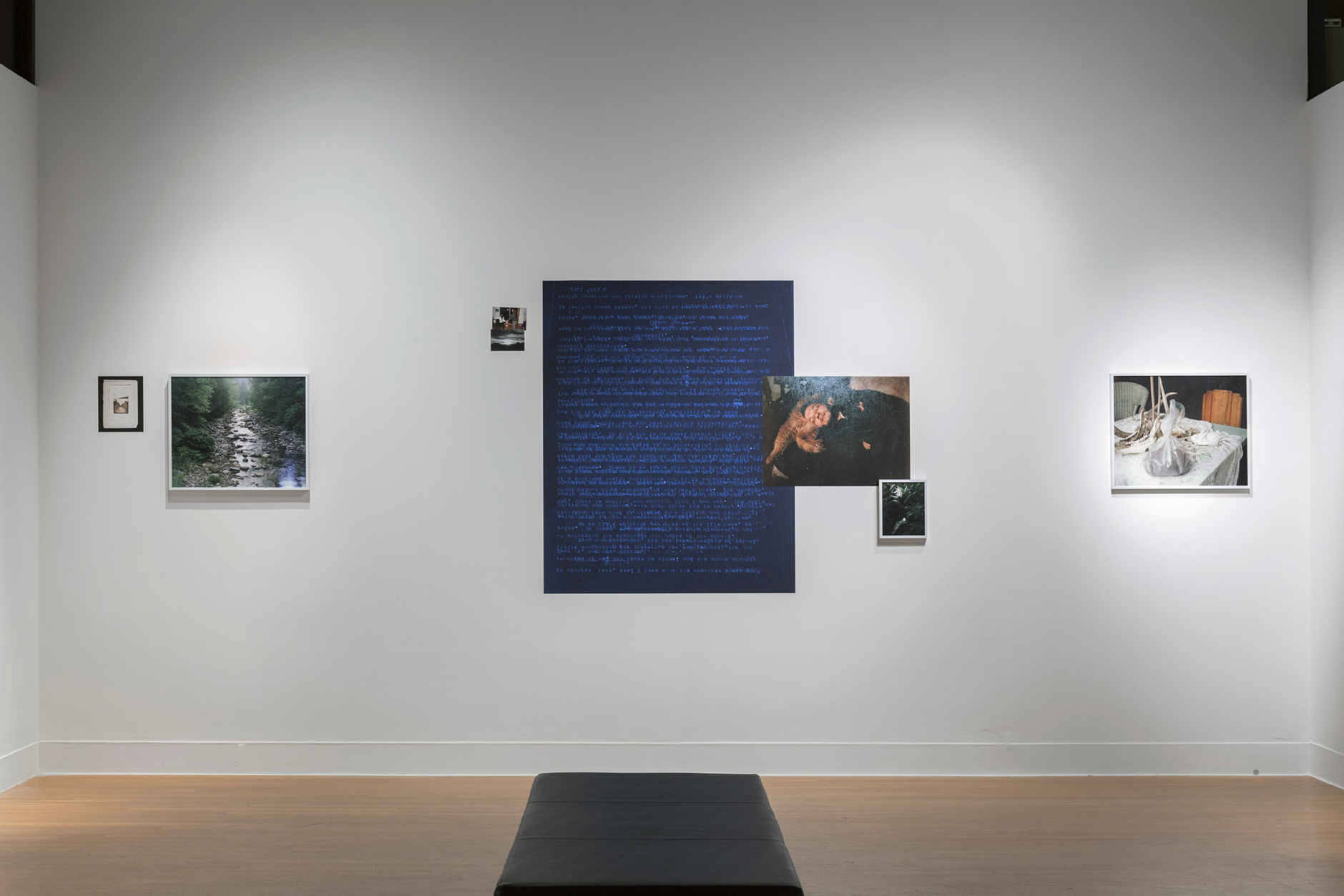 Images from To light and then return, Painted Hooves, Visual Arts Center, Austin, Texas, May 2022