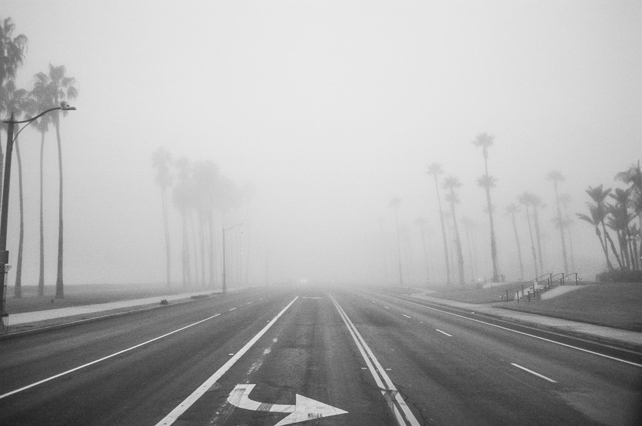 Exhibit "Palm Angels"