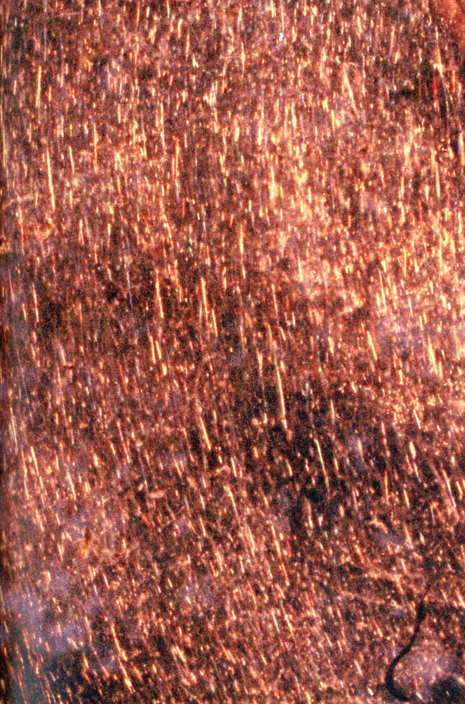 "Shutters shuts and so and so and also", details, page 6, 2022