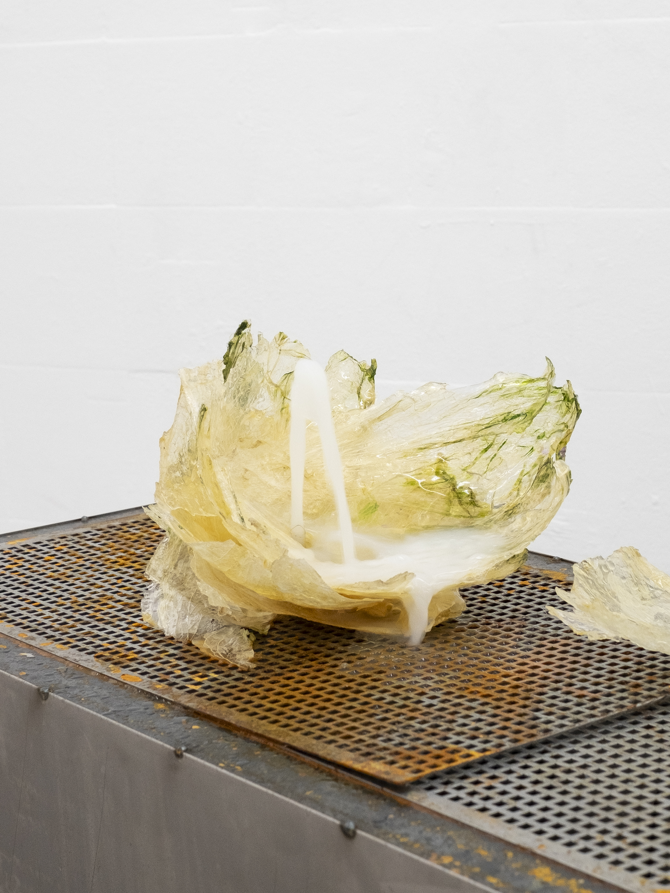 The Fountain of Youth. Jasmine Pajdak[photo credit: Filet Space]