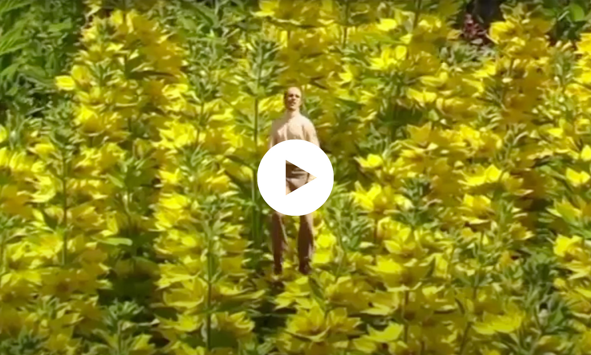 ELIOTT LITROWSKI "LATE NIGHT GRASS HOPPER"