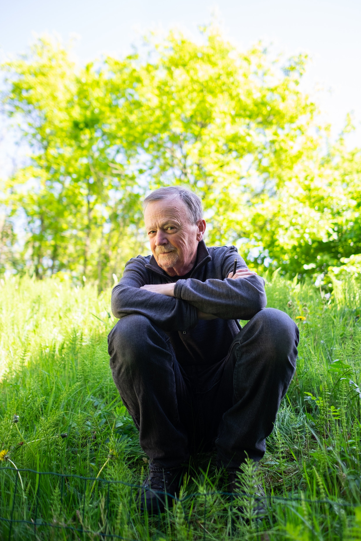 De Volkskrant - De mannetjesorchis