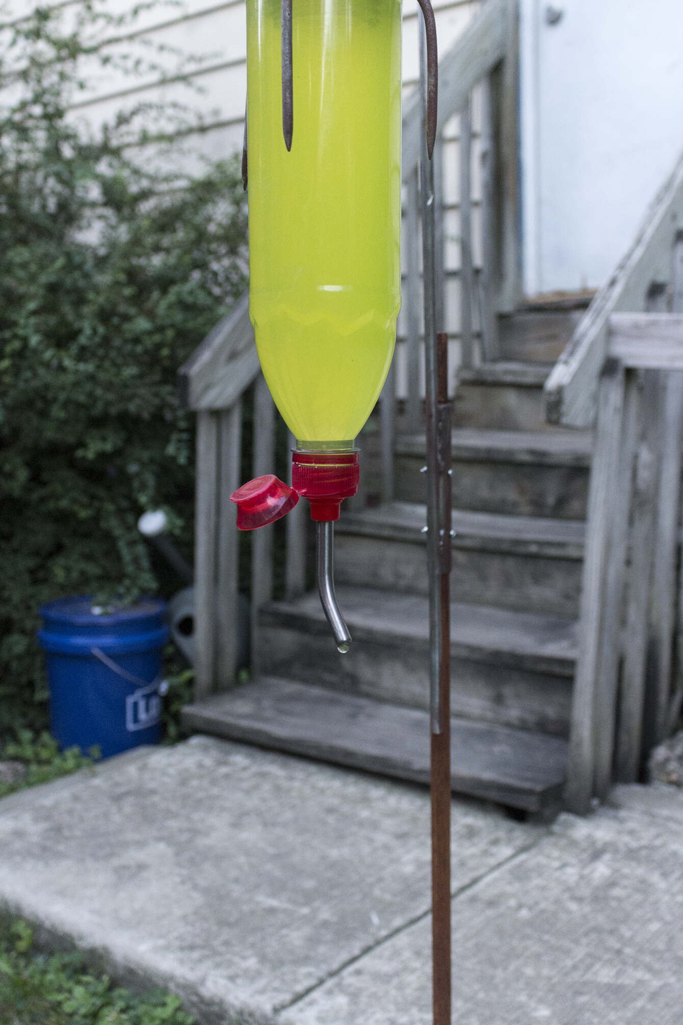 fountain (for ratboi), sportscap evian bottle, gatorade bottle, steel rods, chain, wood, yellow gatorade, pet drip nozzle. 2021 