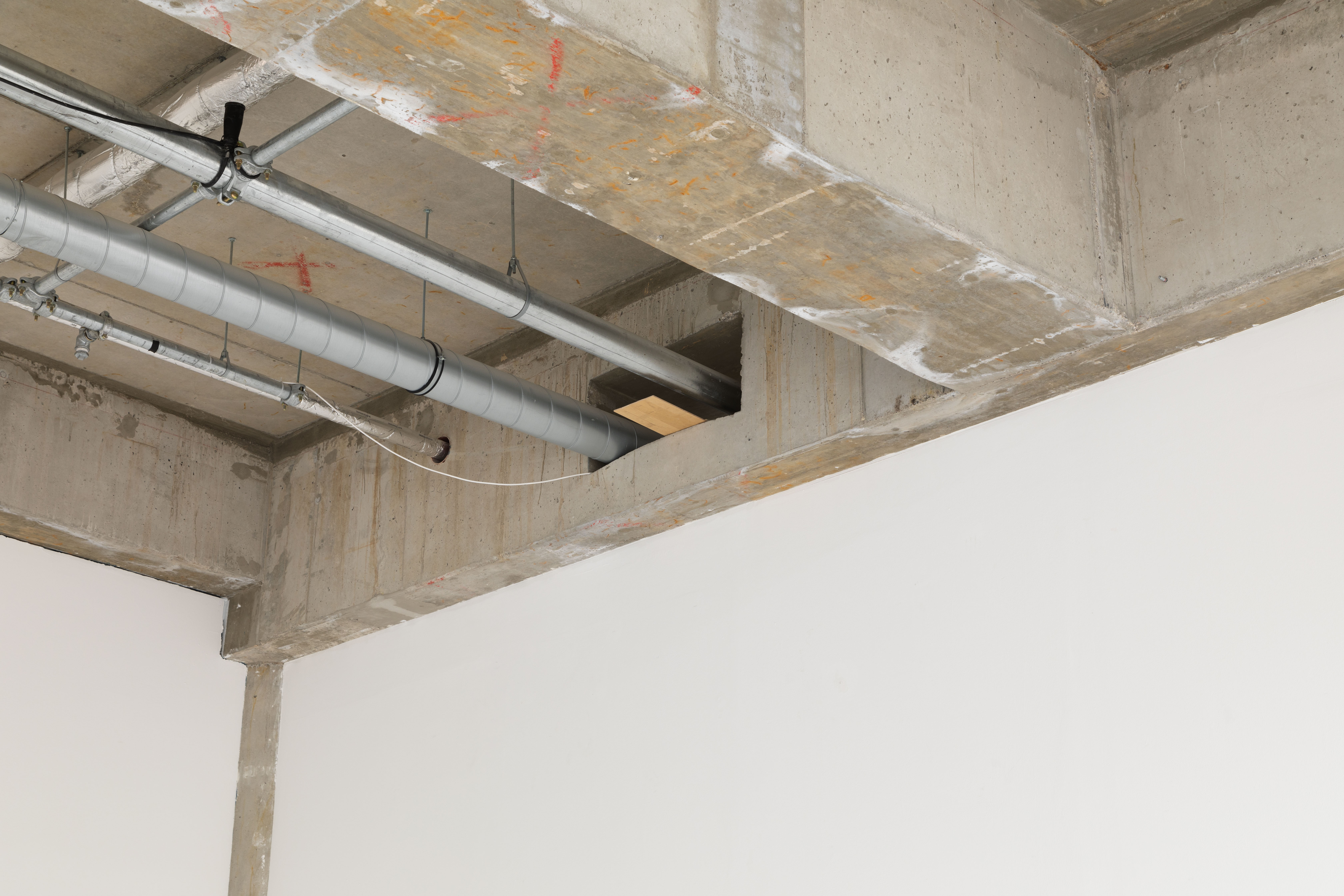 Clara Reiner – Untitled, 2023 Wood (Detail)