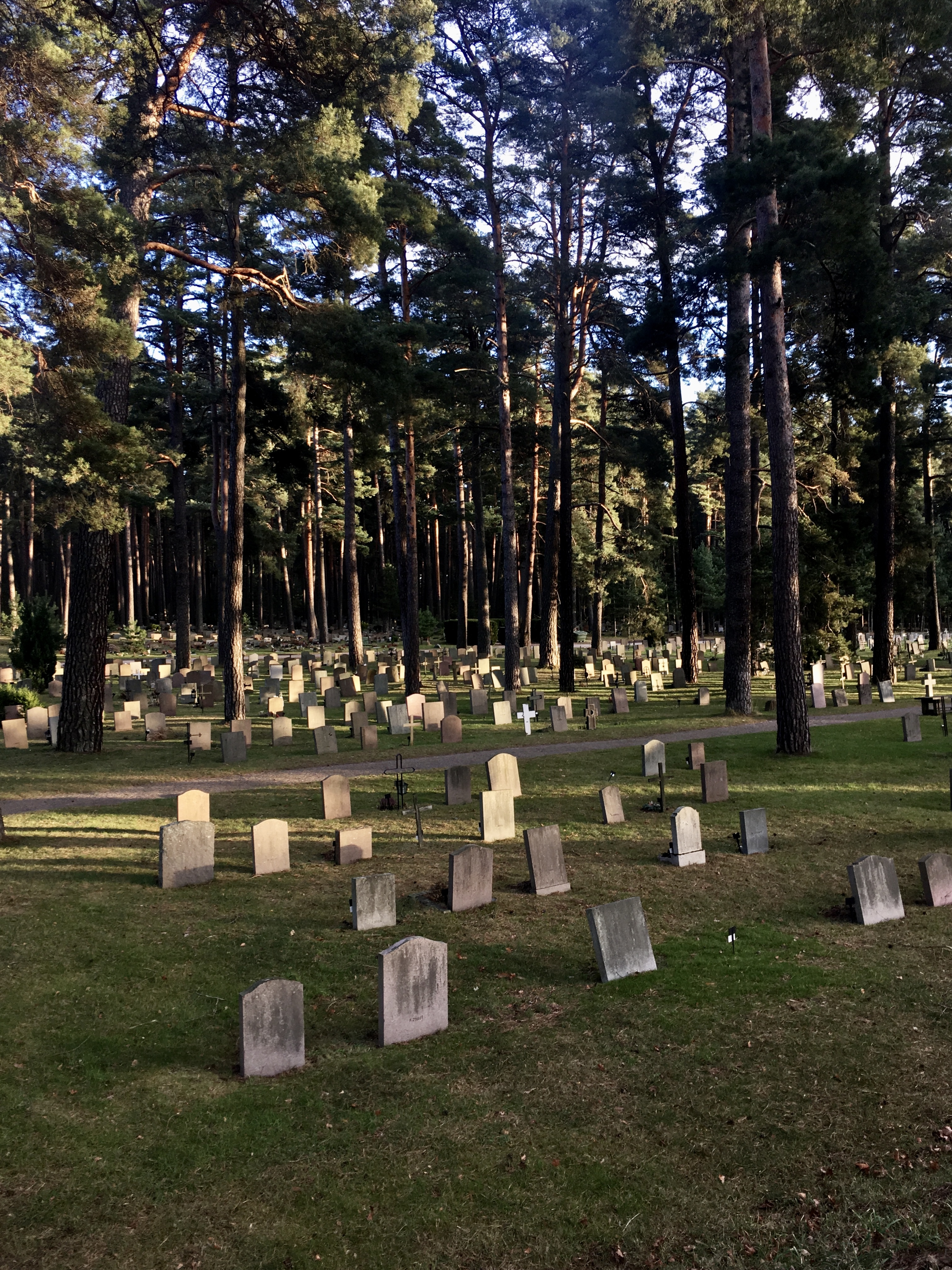 Explore more about our trip in Copenhagen, Stockholm, Oslo, 2020