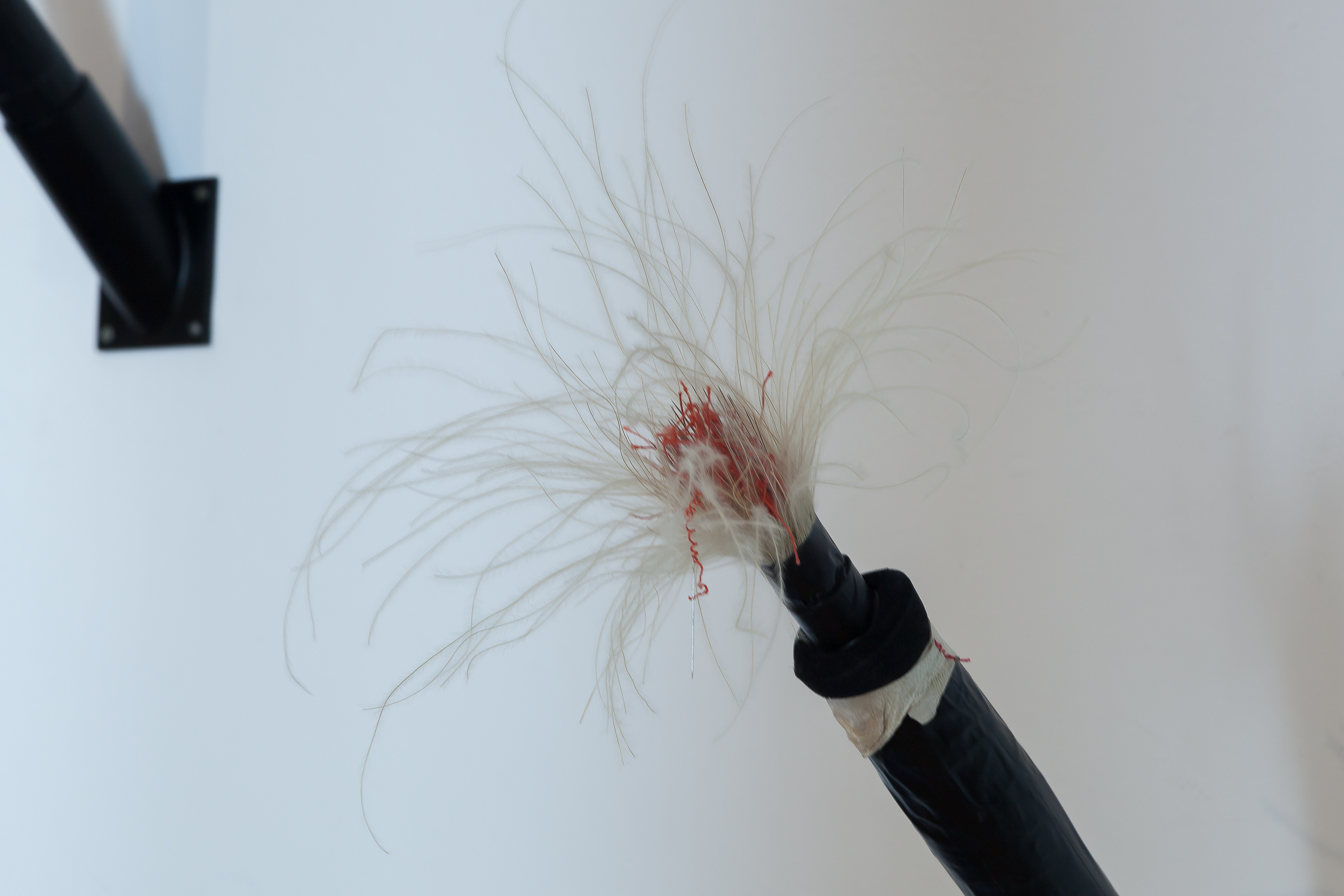 İz Öztat, Haz/Cızzz II [Pleasure/Sizzle I]. 2019. Needles, thread, whisk, feathery plant, parchment, tape, cardboard toilet paper tubes, wall mount. 60 x 30 x 5 cm