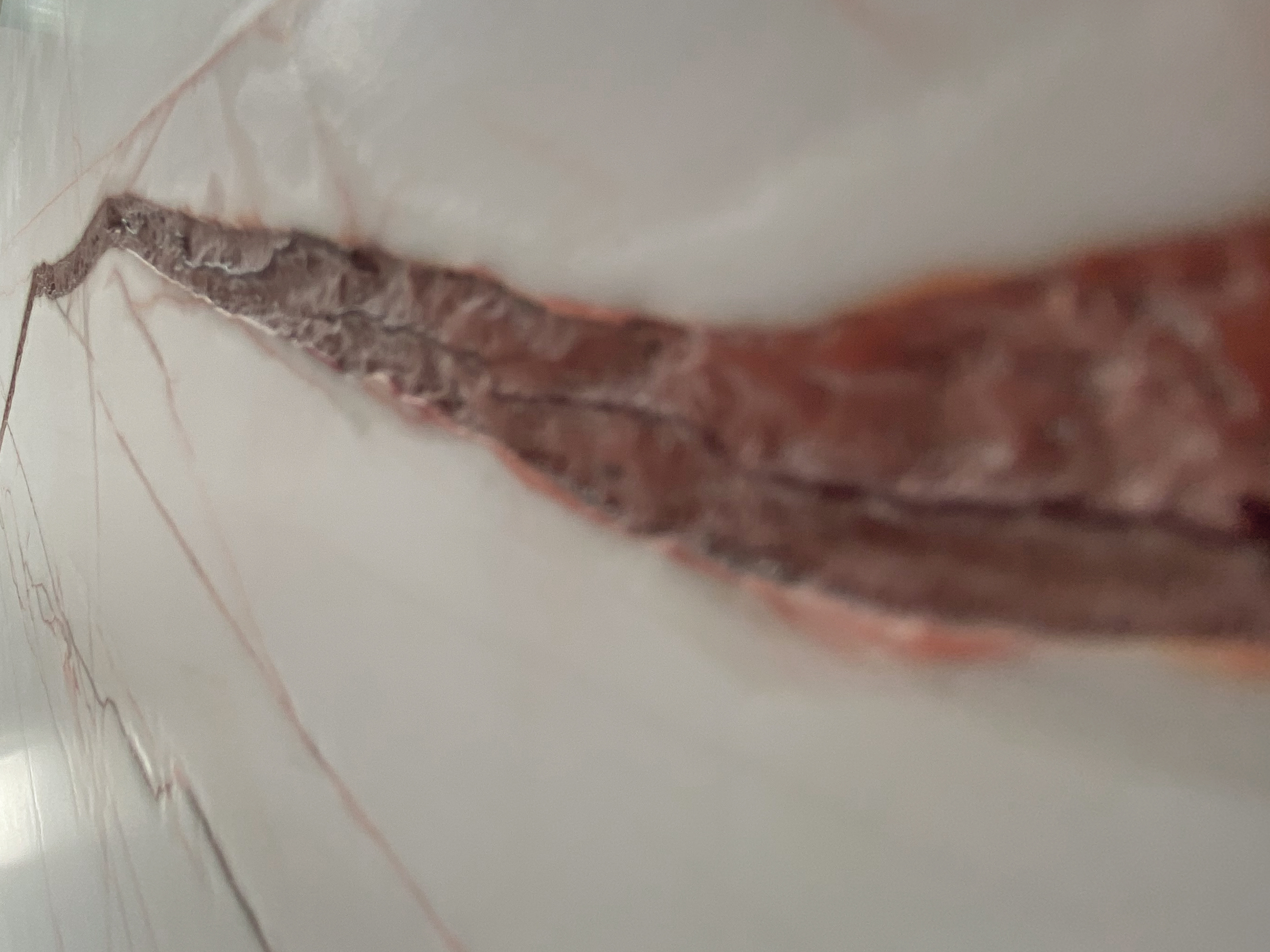 Detail Marmorwand Bad