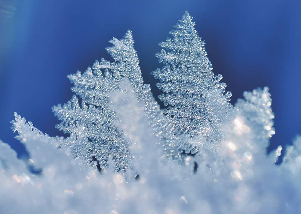 Nr. 086 Raureif-Zauberwald