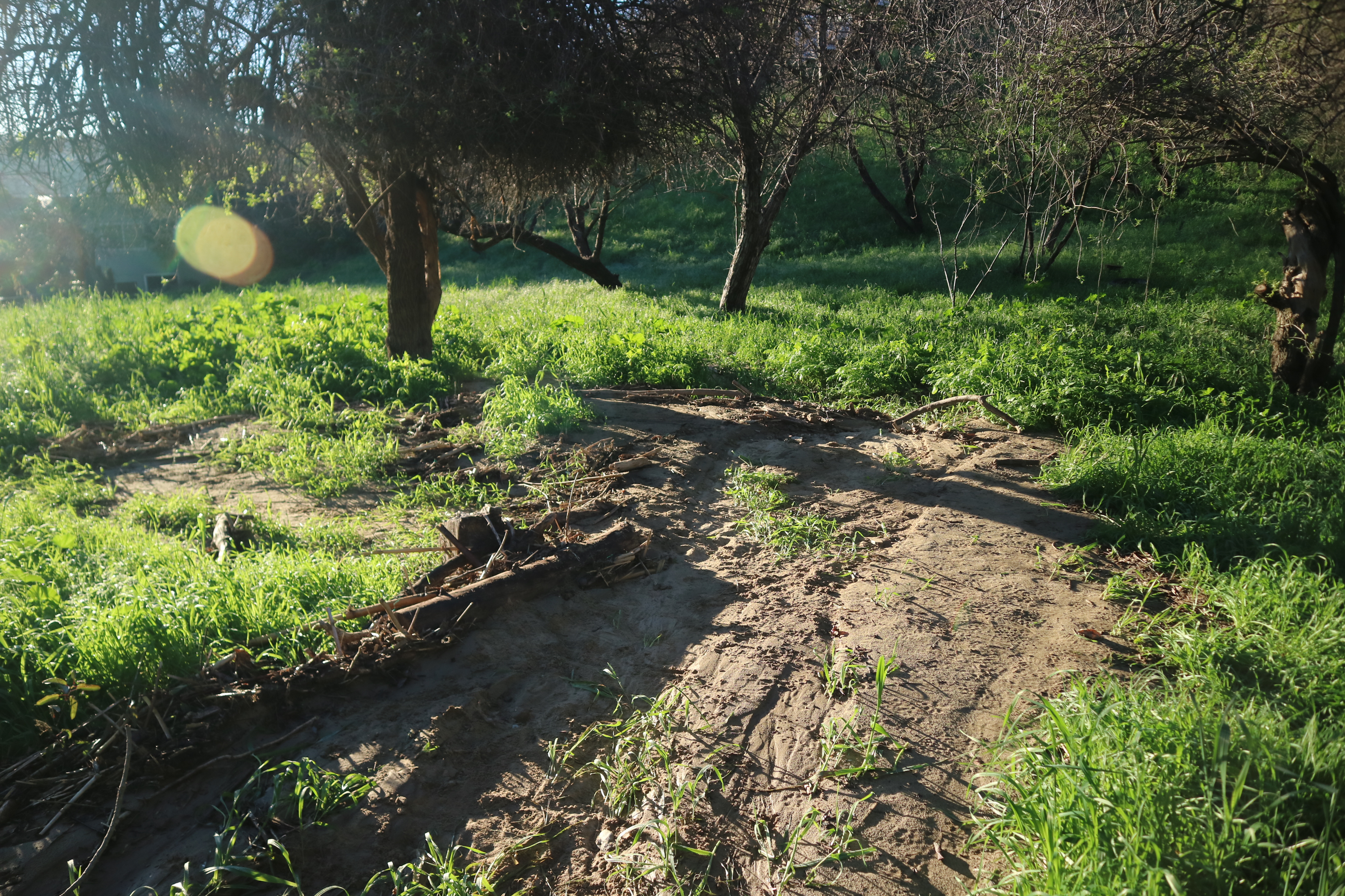 Fig 23. Sand and debris left in the wake of a stream path
