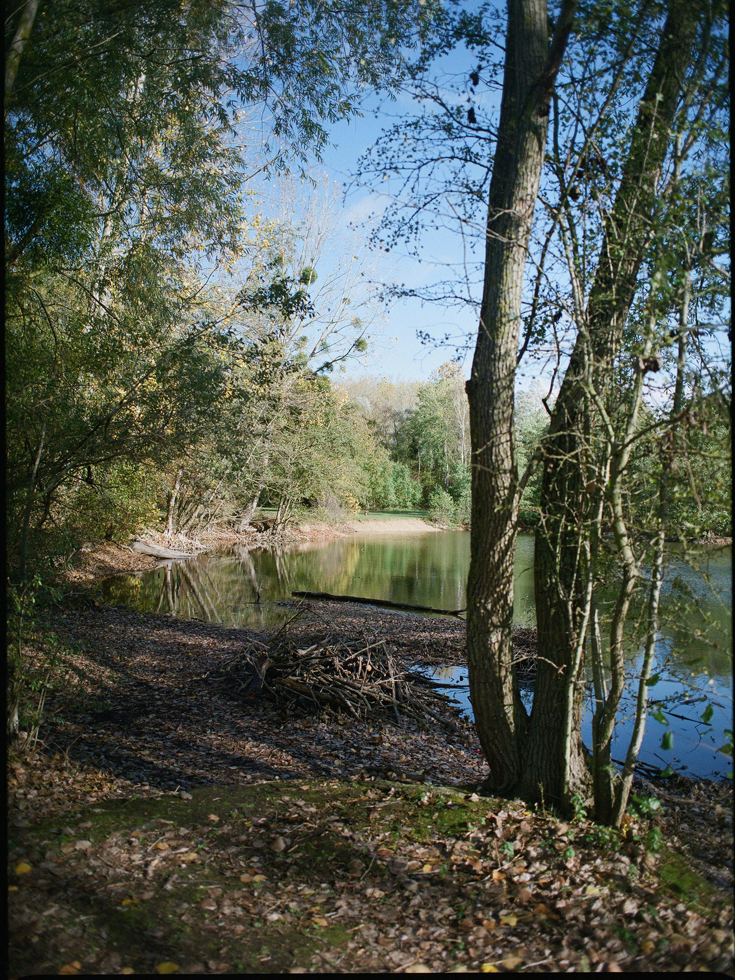 Comme tous les après midis - Zoyâ Pirzâd