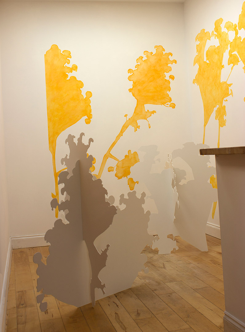 Giant Fennel - installation view 3