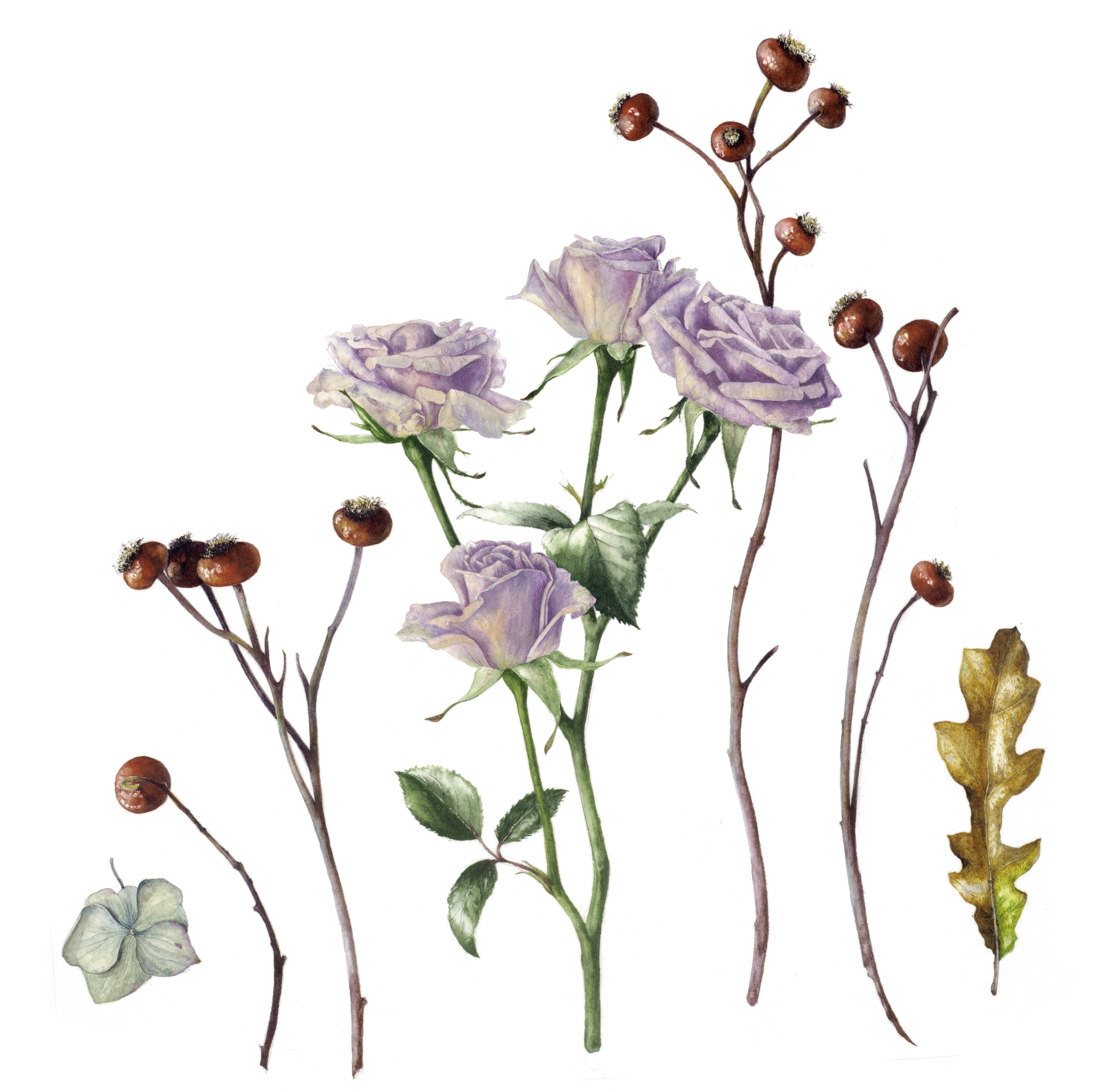 December bouquet deconstructed lilac roses and hips