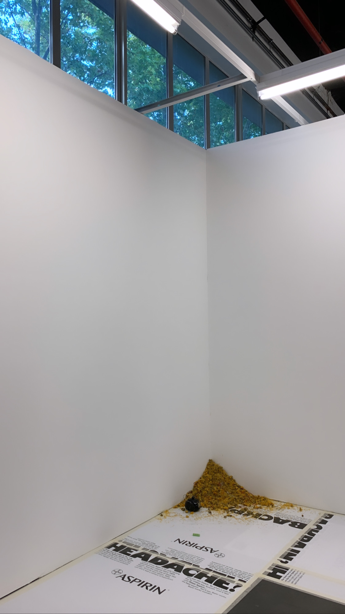 Jason Dodge at Gilles Drouault galerie/multiples, Paris [F]
