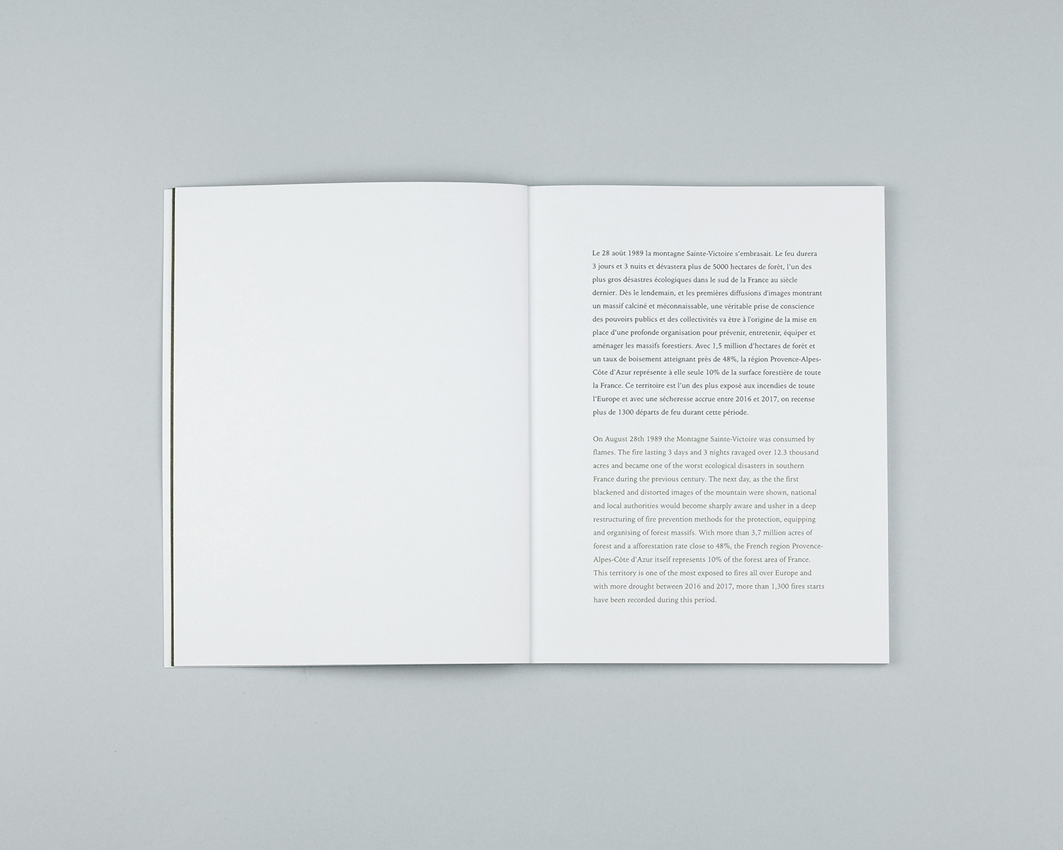 Wildfire, Another Place Press, 2020