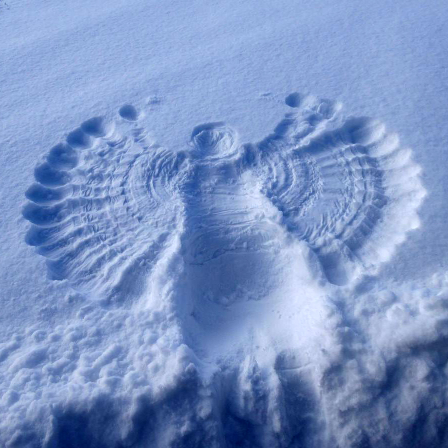 devin shaffer/mixcloud/1.7.24