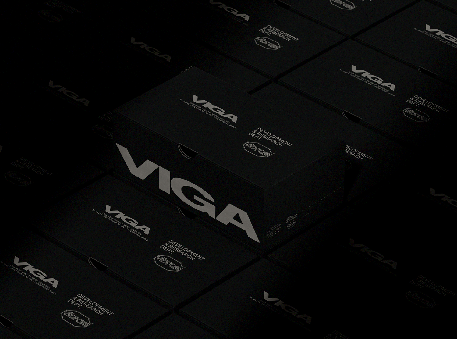 VIGA Brand Identity