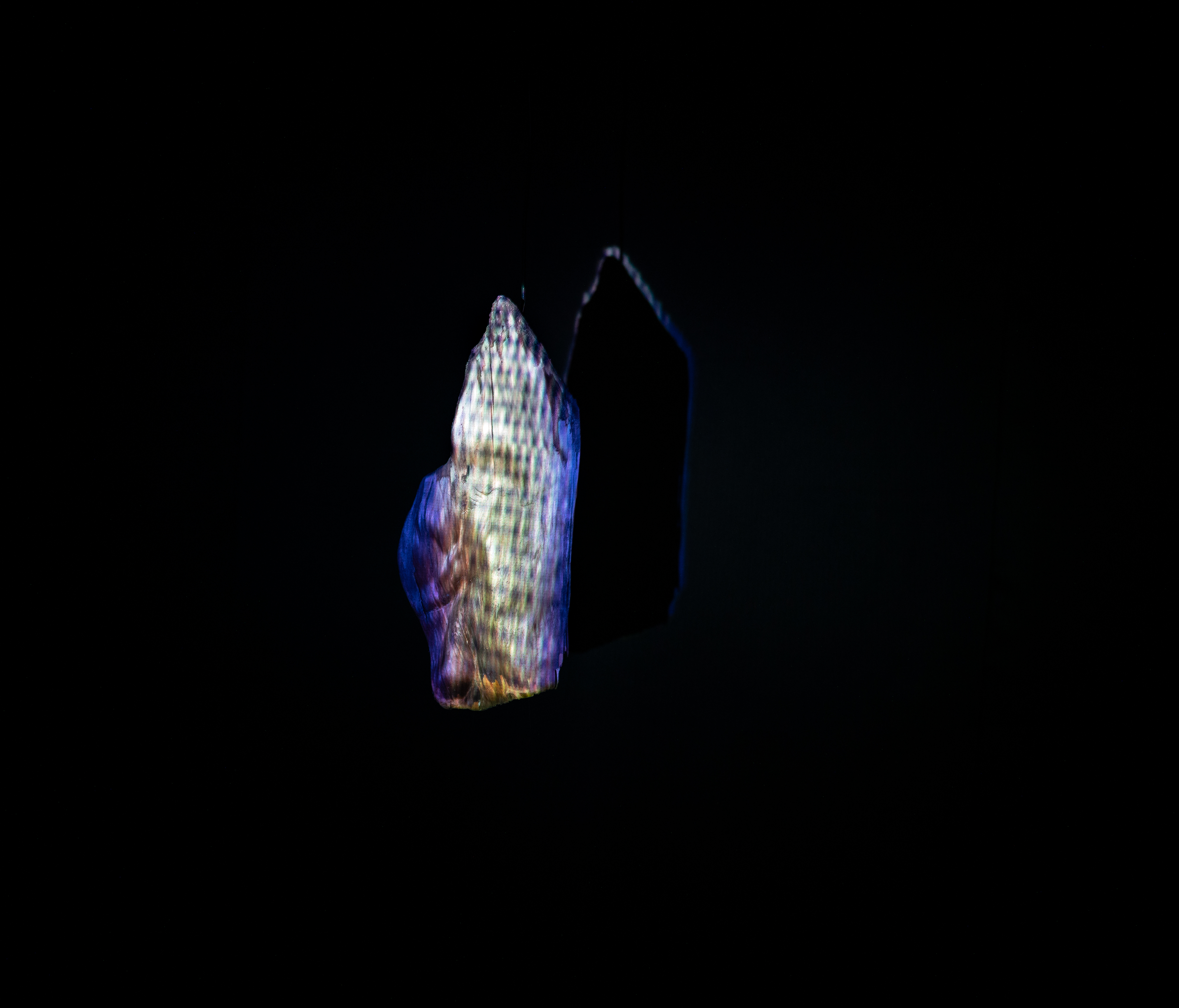 Image by Simone Fischer