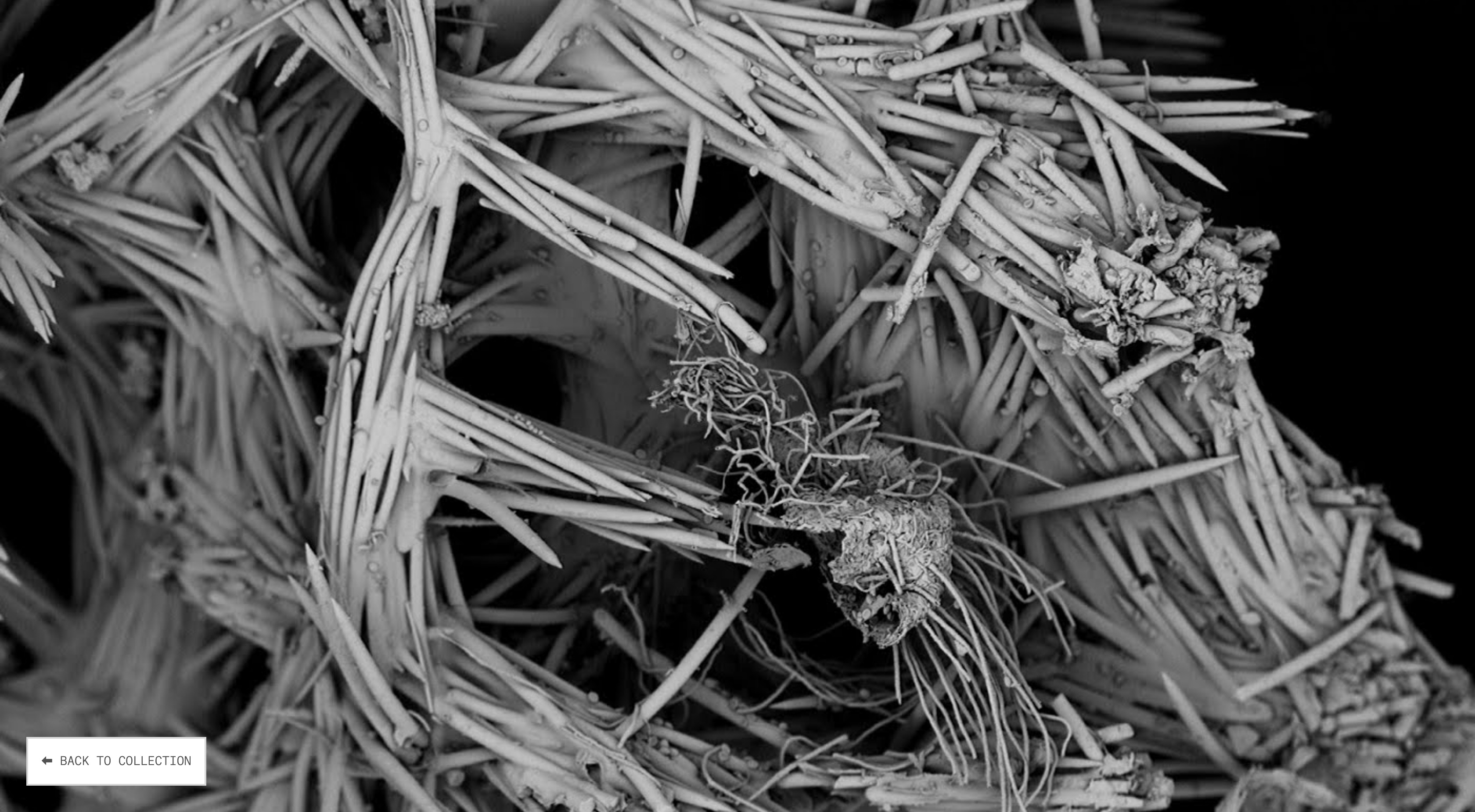 nature-lab-nano-microscope