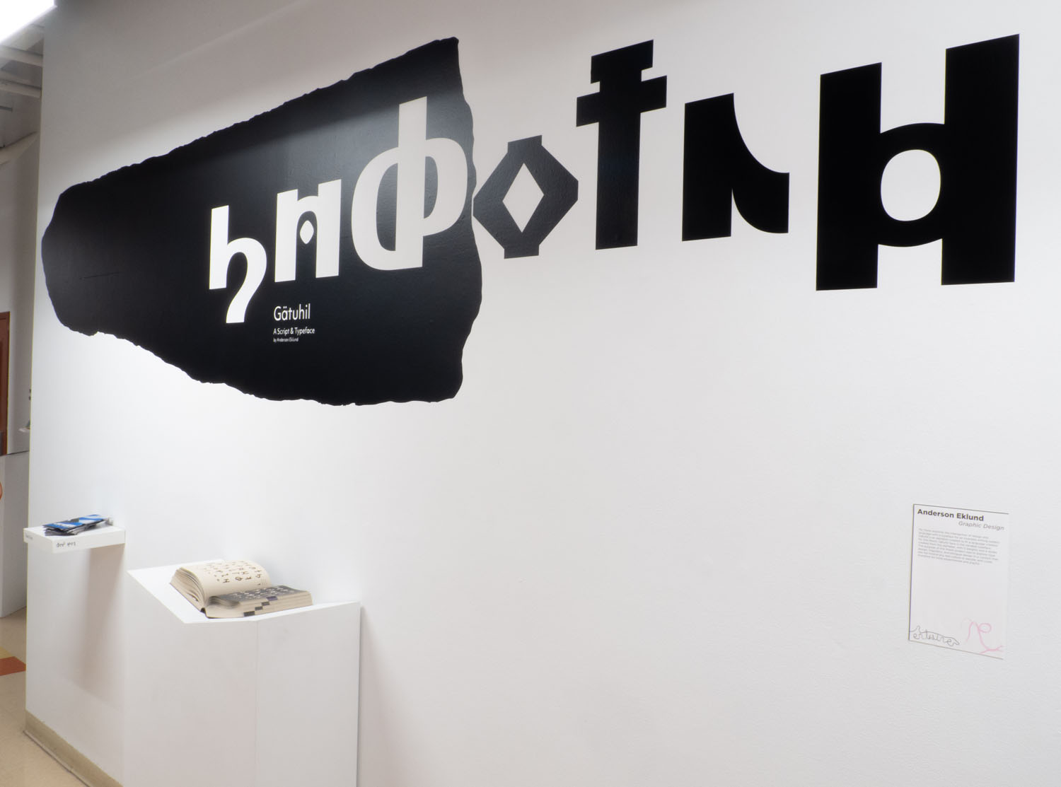 Thesis ExhibitionVinyl, 14&rsquo;x10&rsquo;, 2022