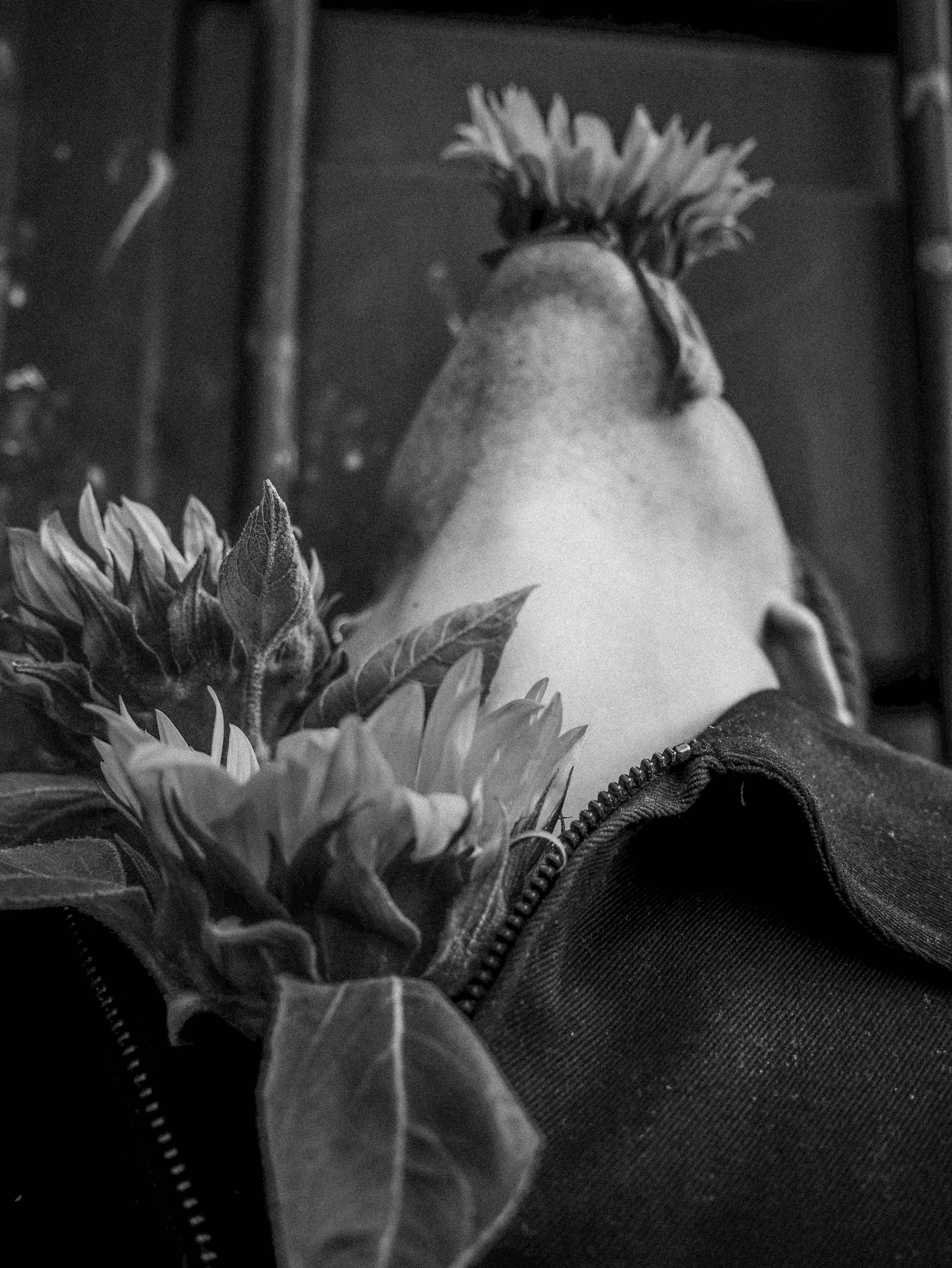 I'M BUSY . ©Cripict