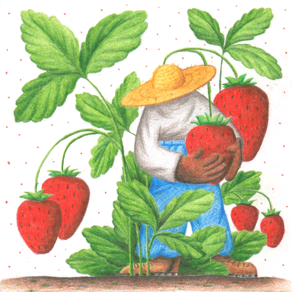 Strawberry Farmer