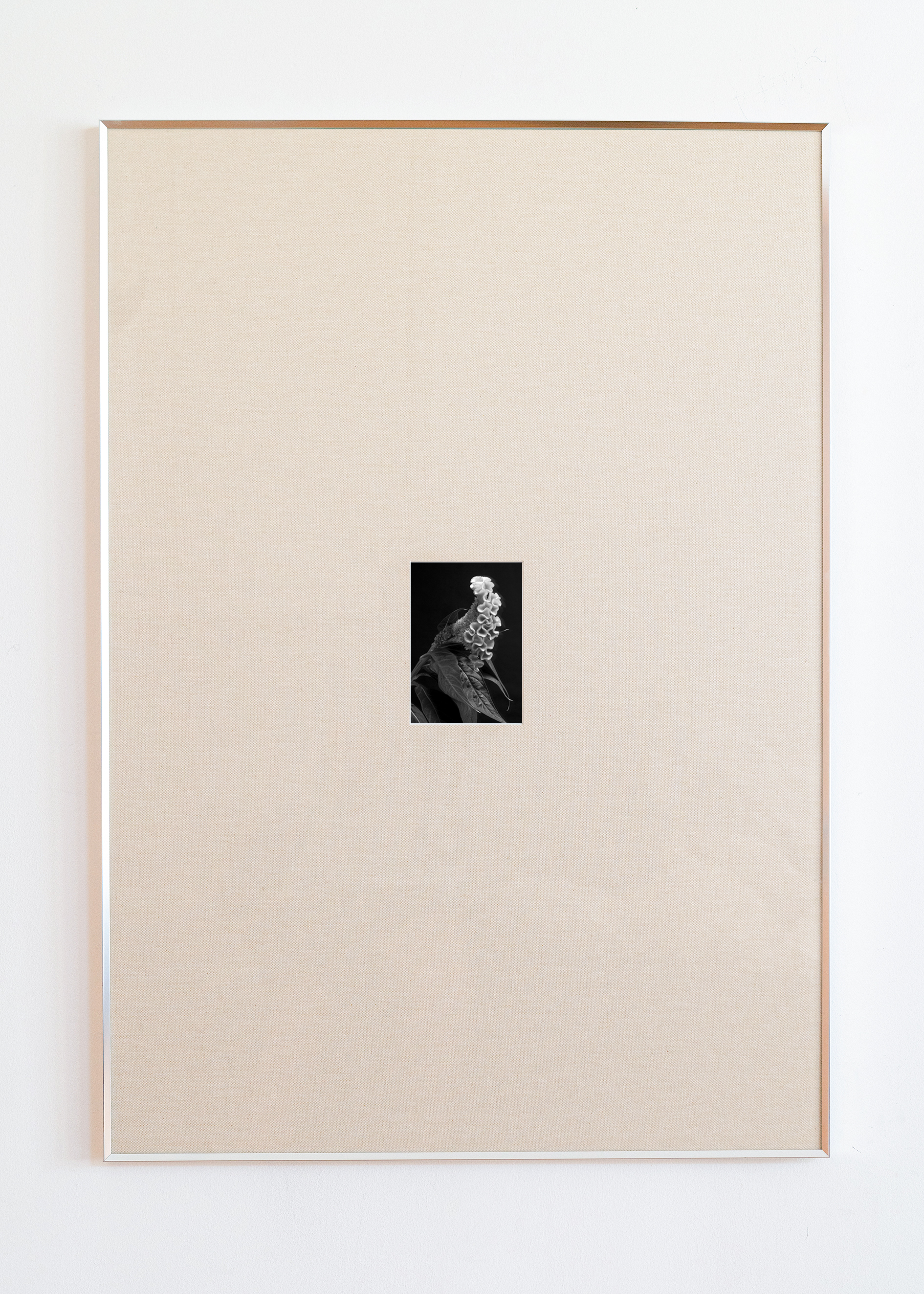 Installation View 1/3