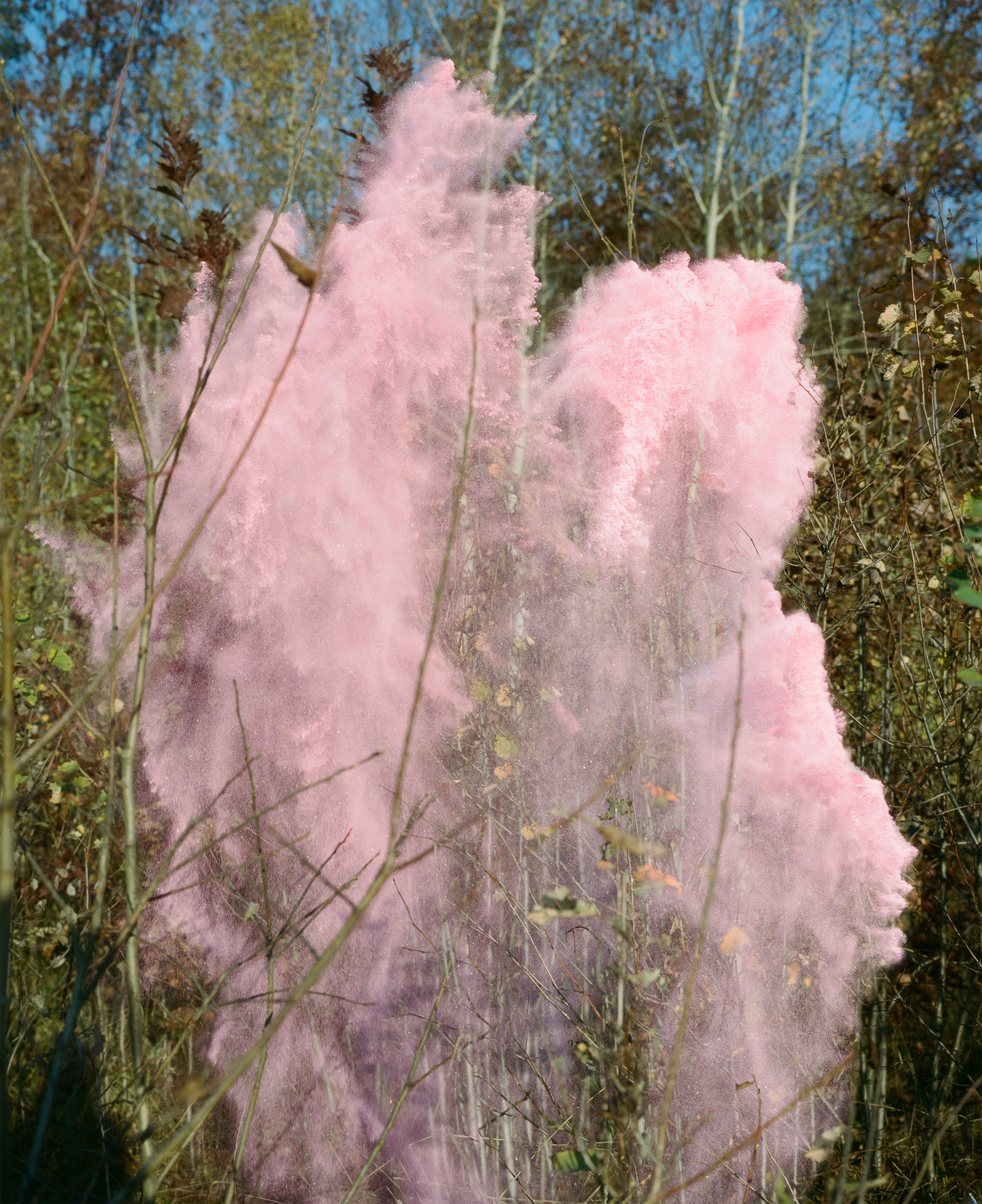 68) 32x40cm 180&euro; / 40x50cm 260&euro; /  edition of 20 +1AP in each size