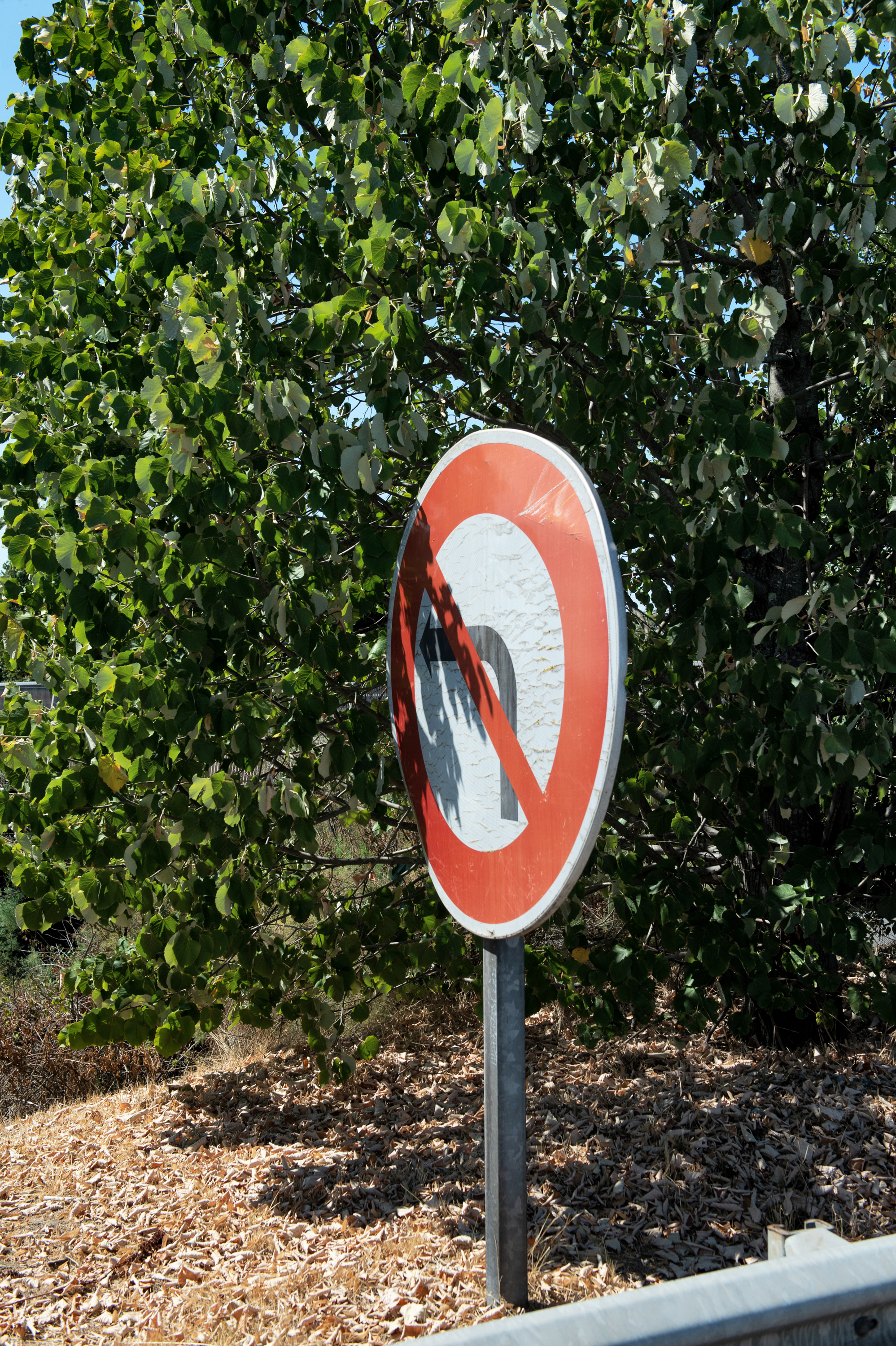 Traffic sign on the way back from the recycling center, Toulouse, August 2022.