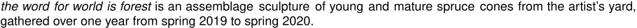 the word for world is forest is an assemblage sculpture of young and mature spruce cones from the artist’s yard, gathered over one year from spring 2019 to spring 2020. 