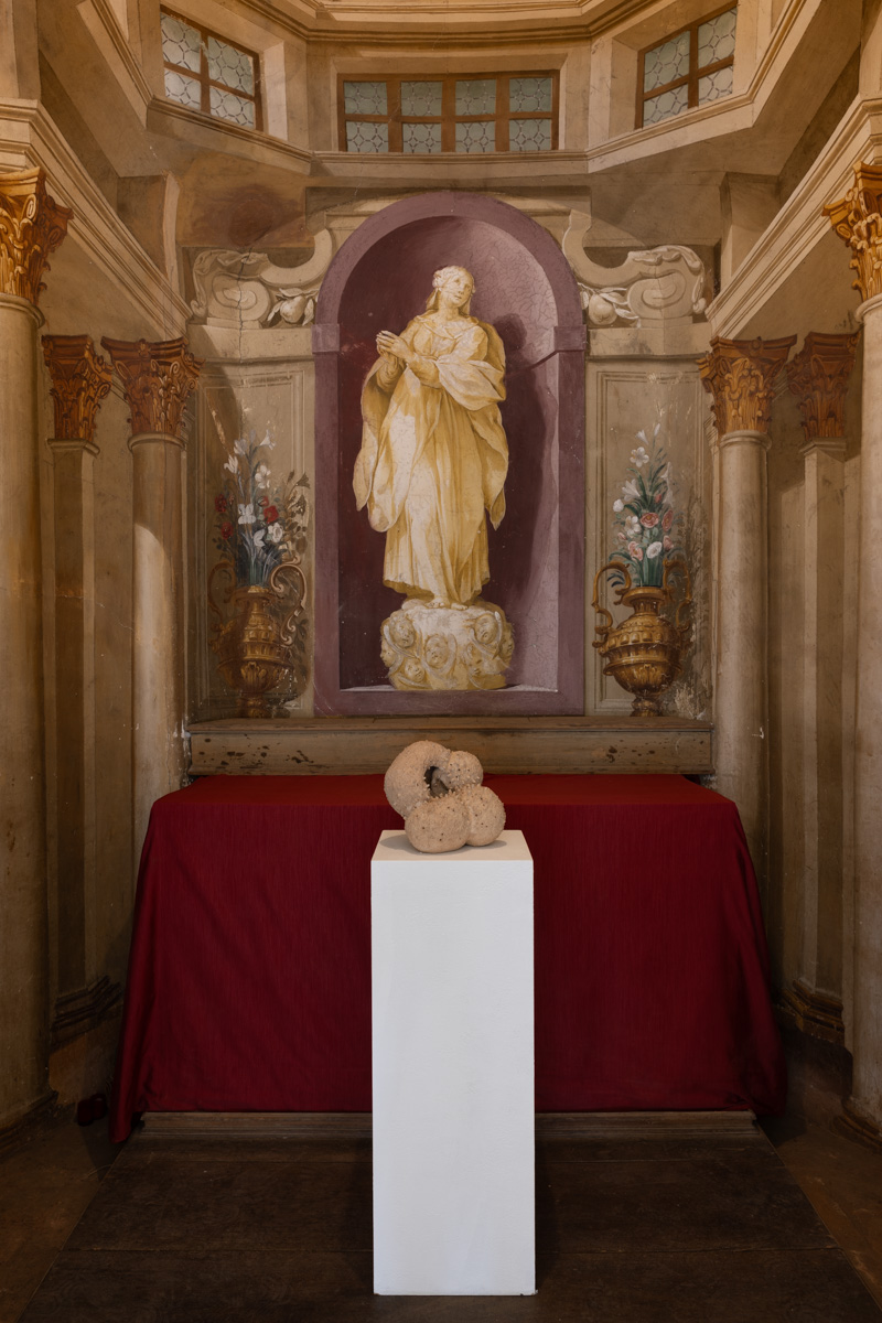 Installation view of Art & Nature: Inside Out