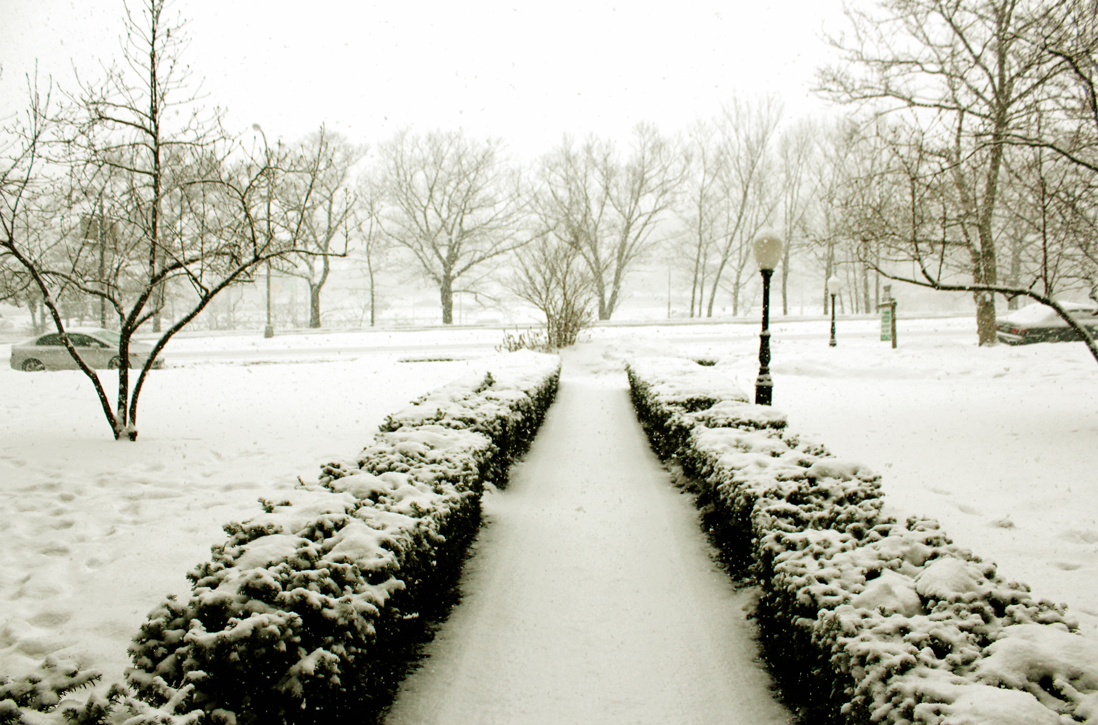 Kew Gardens, NY, 2015