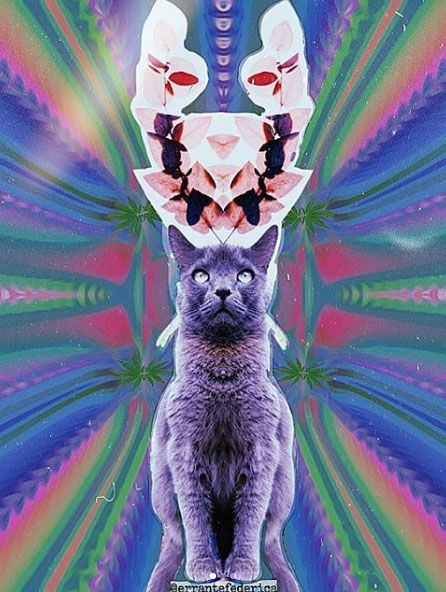 Federica Errante Calcomanías