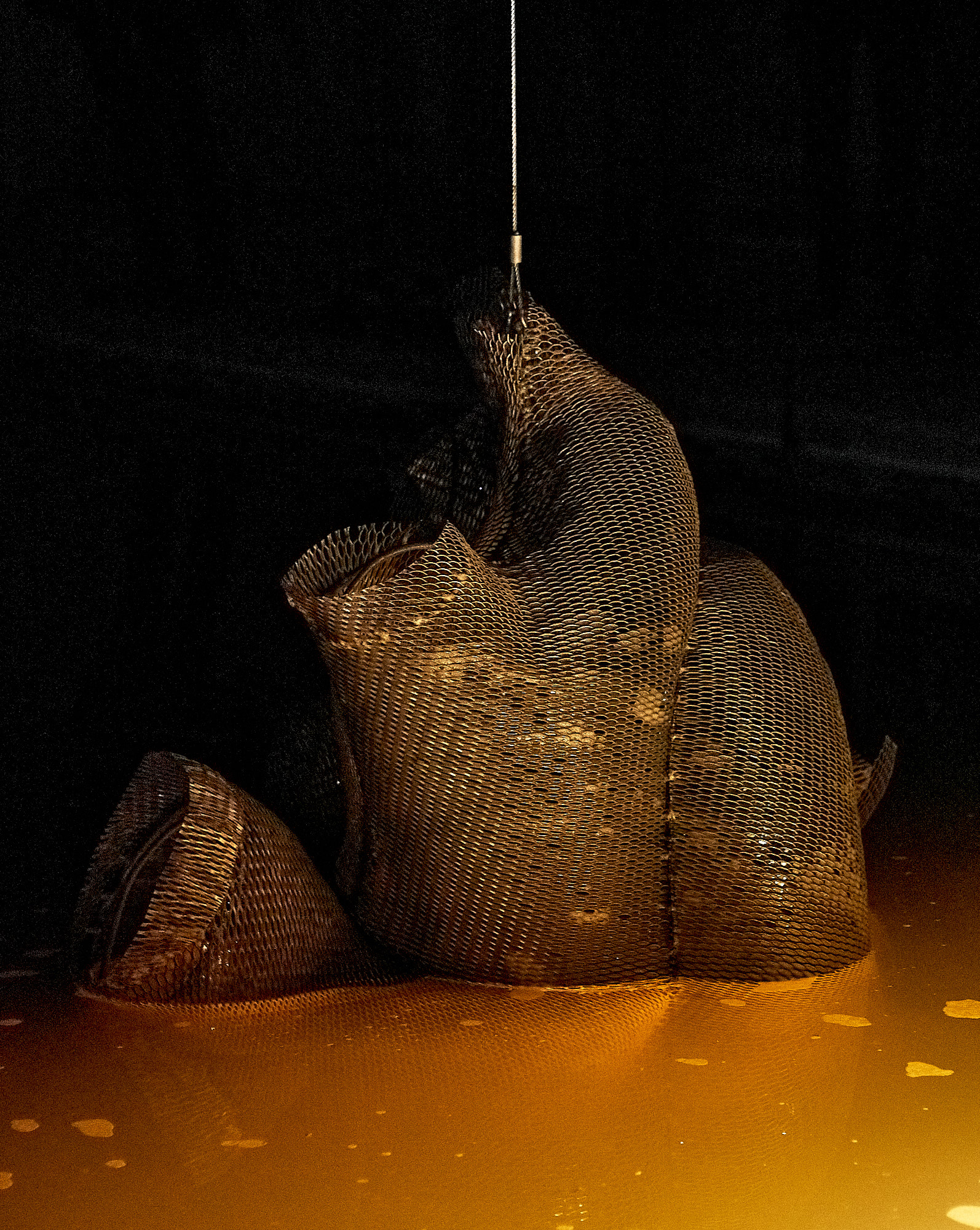 The Smallest Sea With the Largest Heart by Metabolic Studio