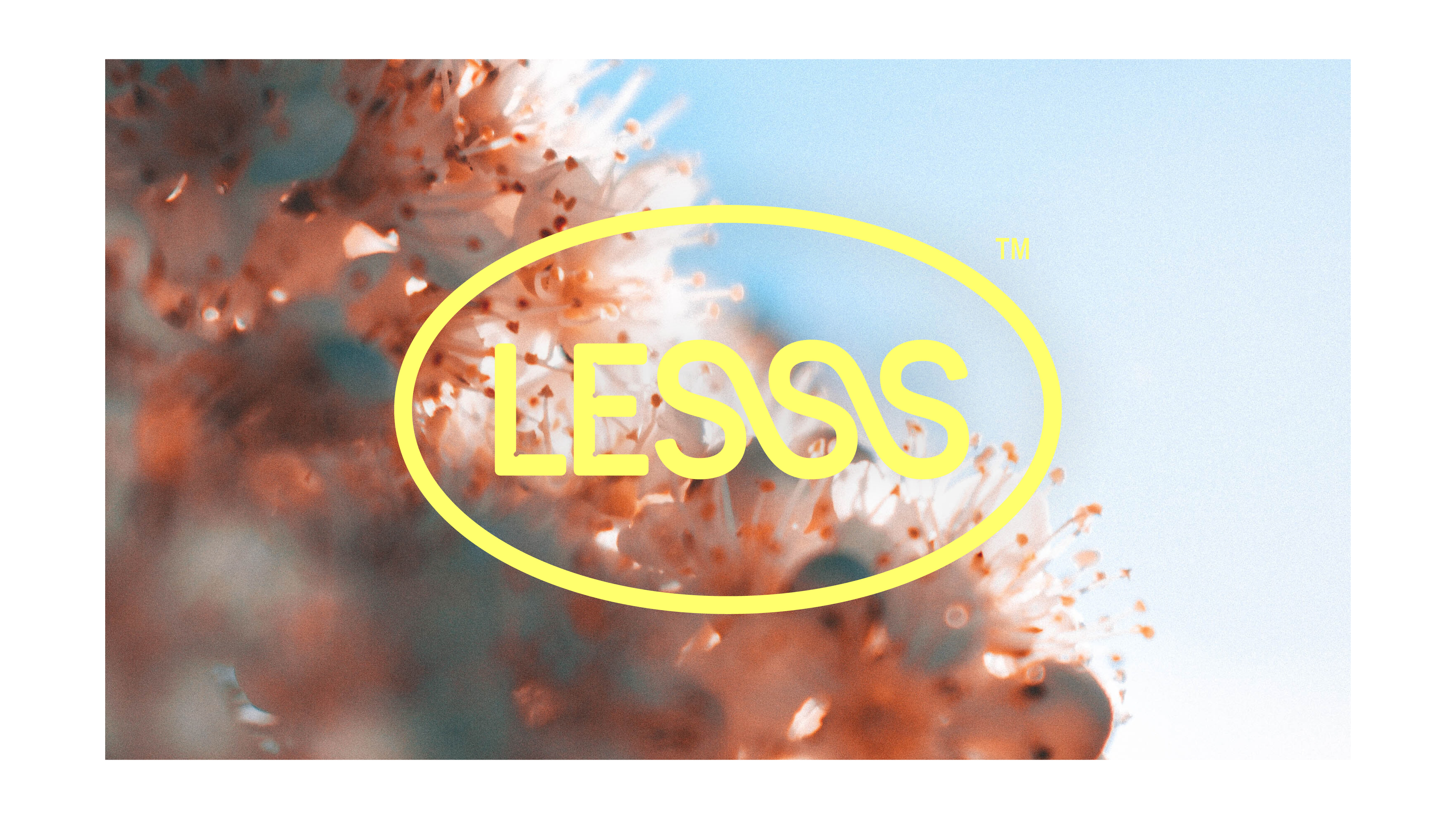 LESSS &mdash; Identity [2020]