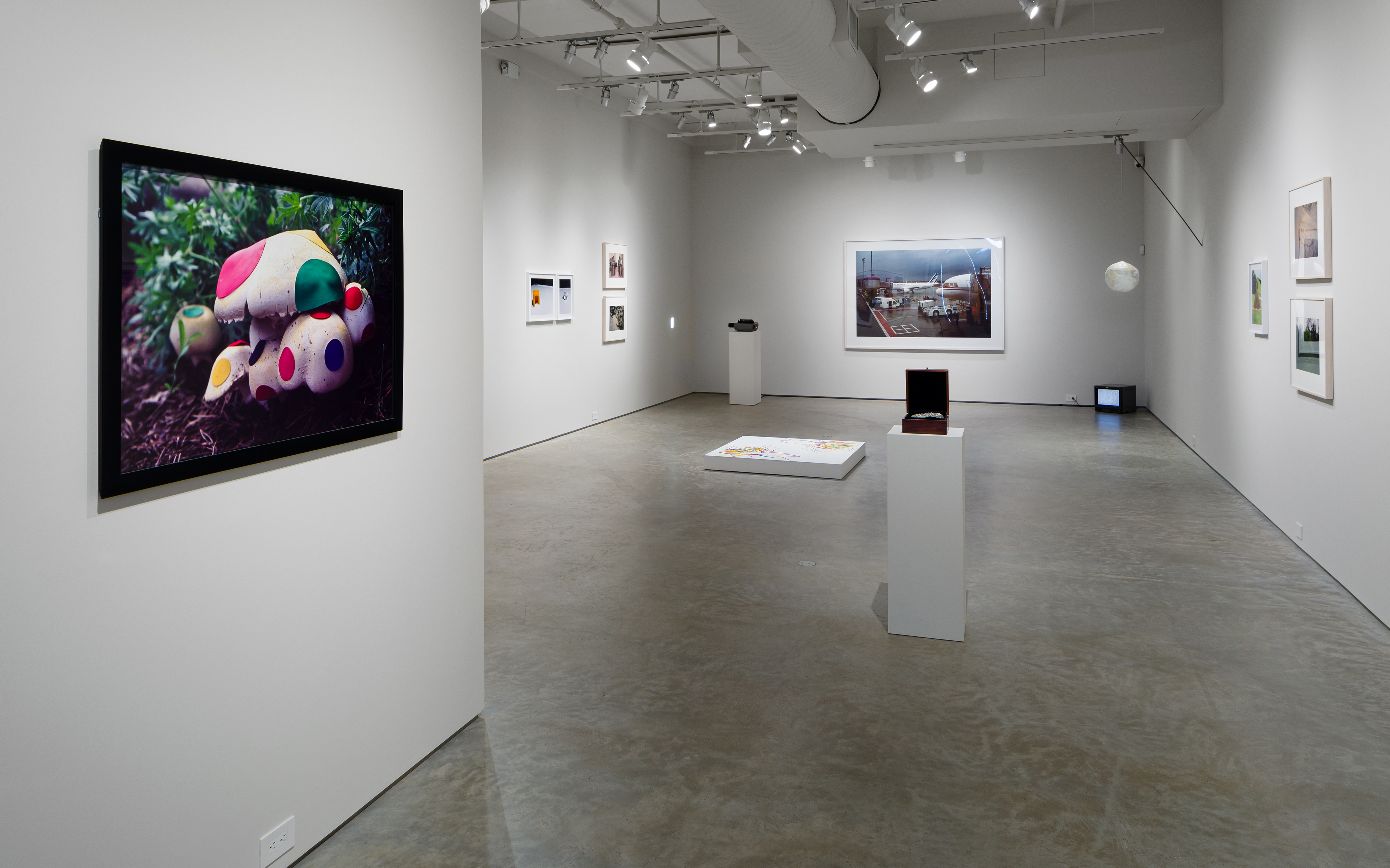 Foreground: Nina Katchadourian, "Renovated Mushroom (Tip-Top Tire Rubber Patch Kit), 1998, Cibachrome print, Edition of 5 + 1AP; edition 5/5, 30 x 40 inches. 