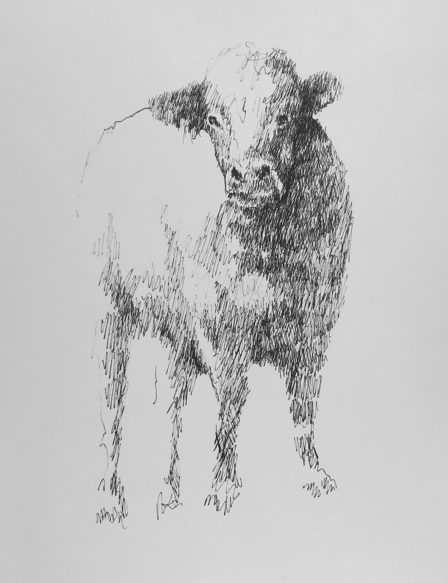  Ink on paper &ndash; 11&rdquo; x 8&rdquo; 