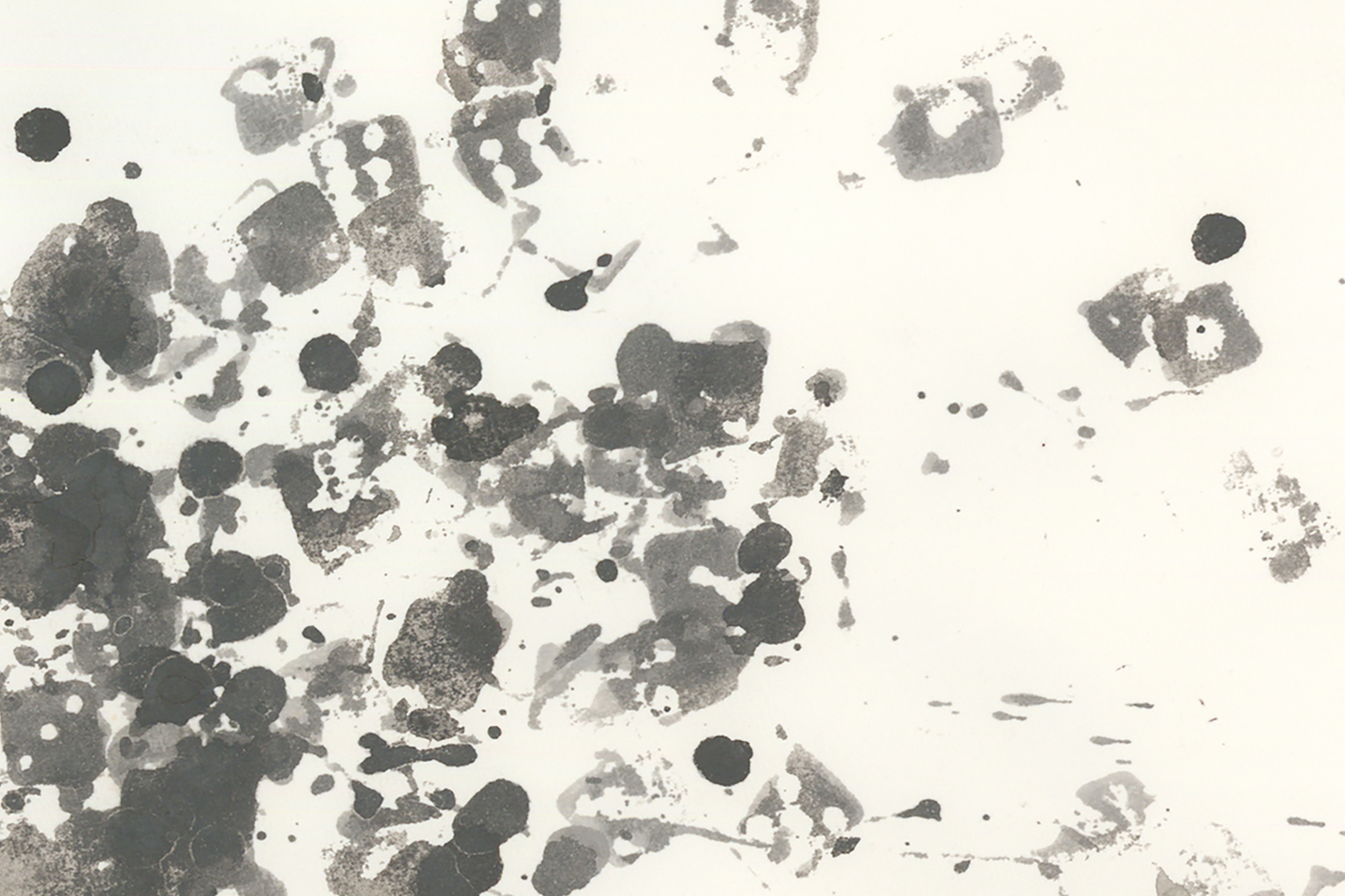 Splash (Float Script)