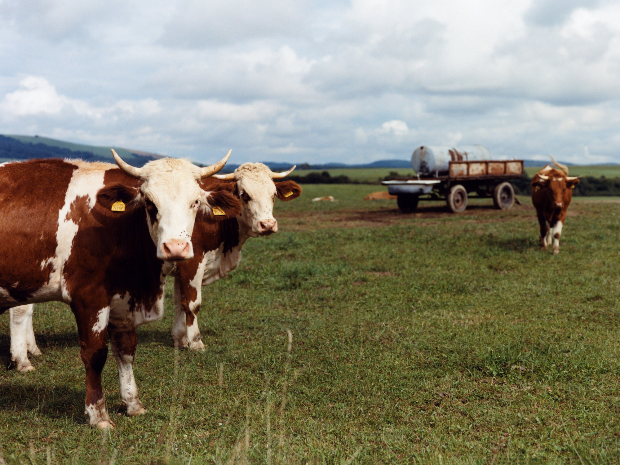 The Greatest Magazine,  5/13 