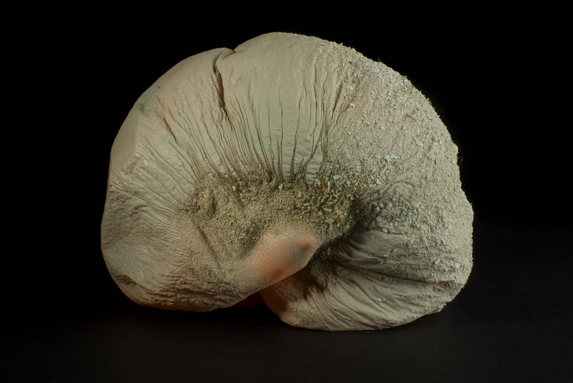 Balloon 4/24 (Grey), 2011, carbon print, 50 × 70 cm