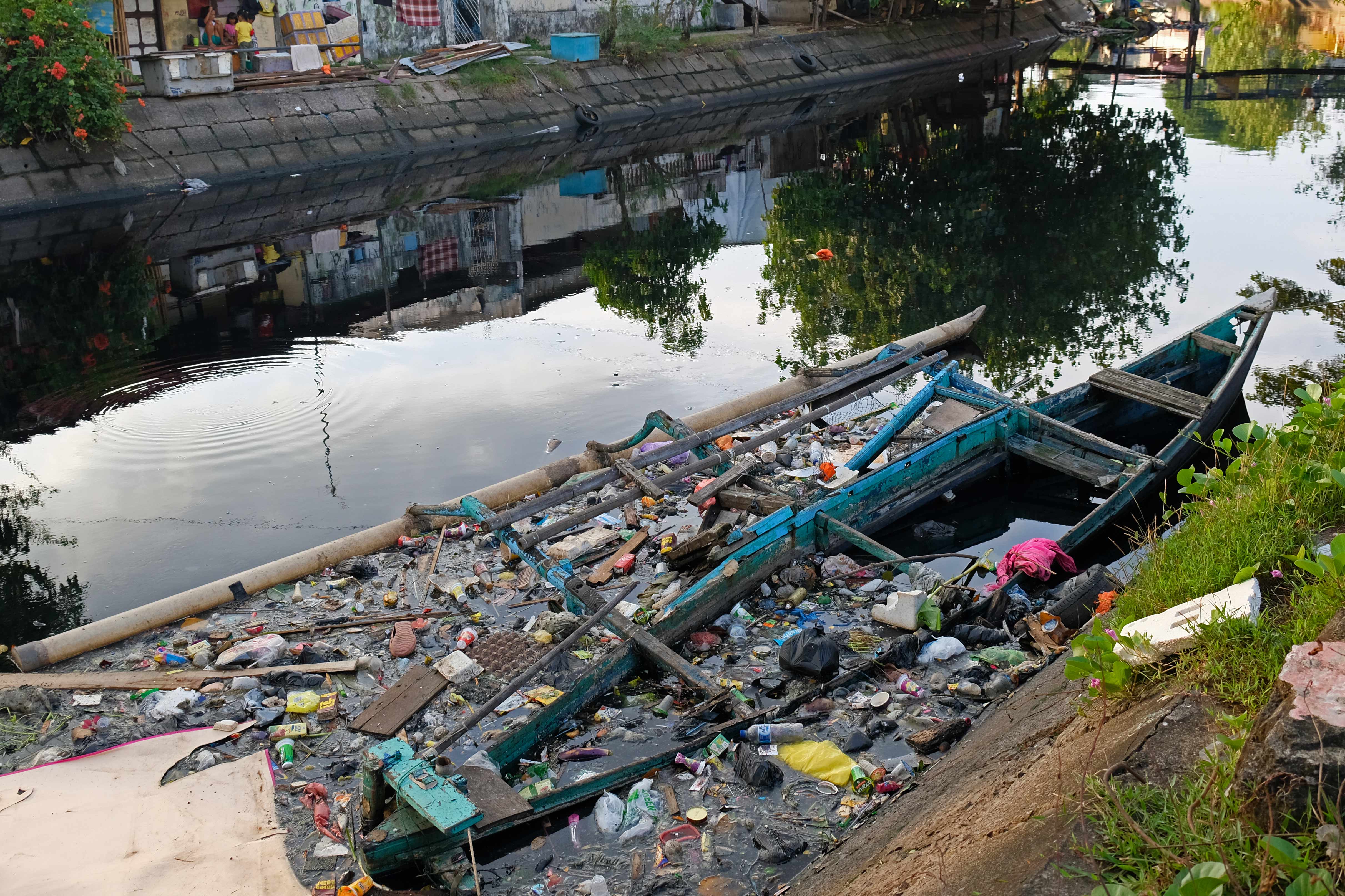 It rapidly grows in the place where the Maros-Tallo and Jeneberang River meet the sea