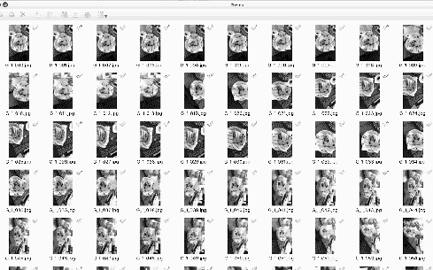As with traditional photographs which need to be developed in a dedicated space or darkroom, you can&rsquo;t immediately see the results of photogrammetry. There is something magical and lonesome about both of these expansive processes. The way a chemical image takes shape on photo paper is similar to the software&rsquo;s process of stitching photos, connecting a point cloud, and reconstructing a mesh in 3D space.