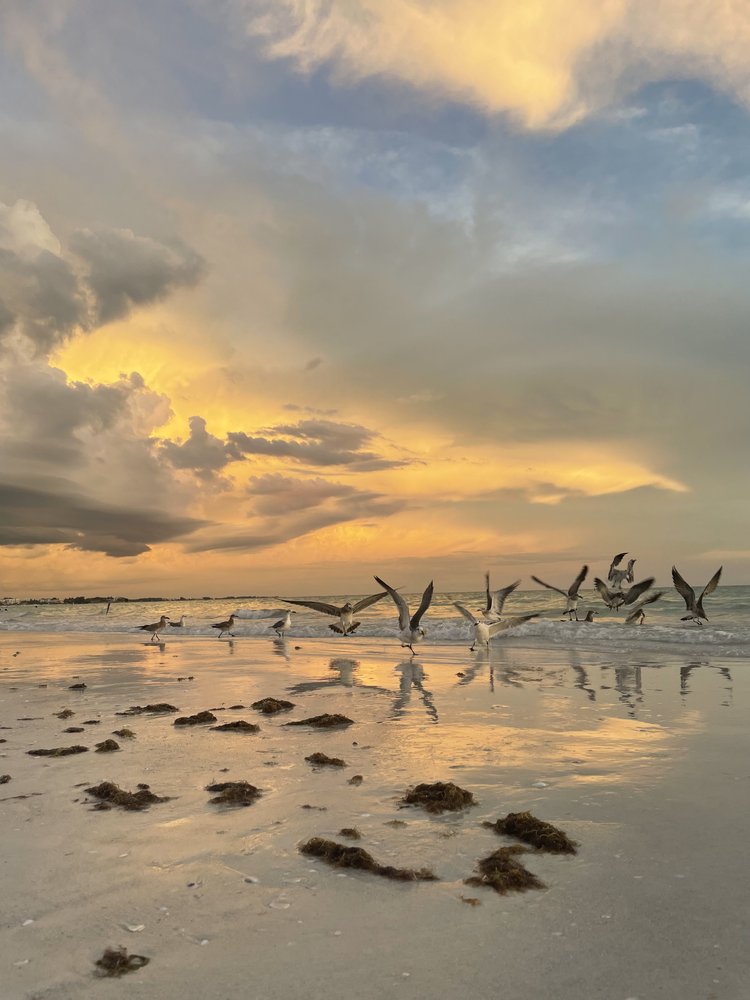 Siesta Key, Florida, 2022