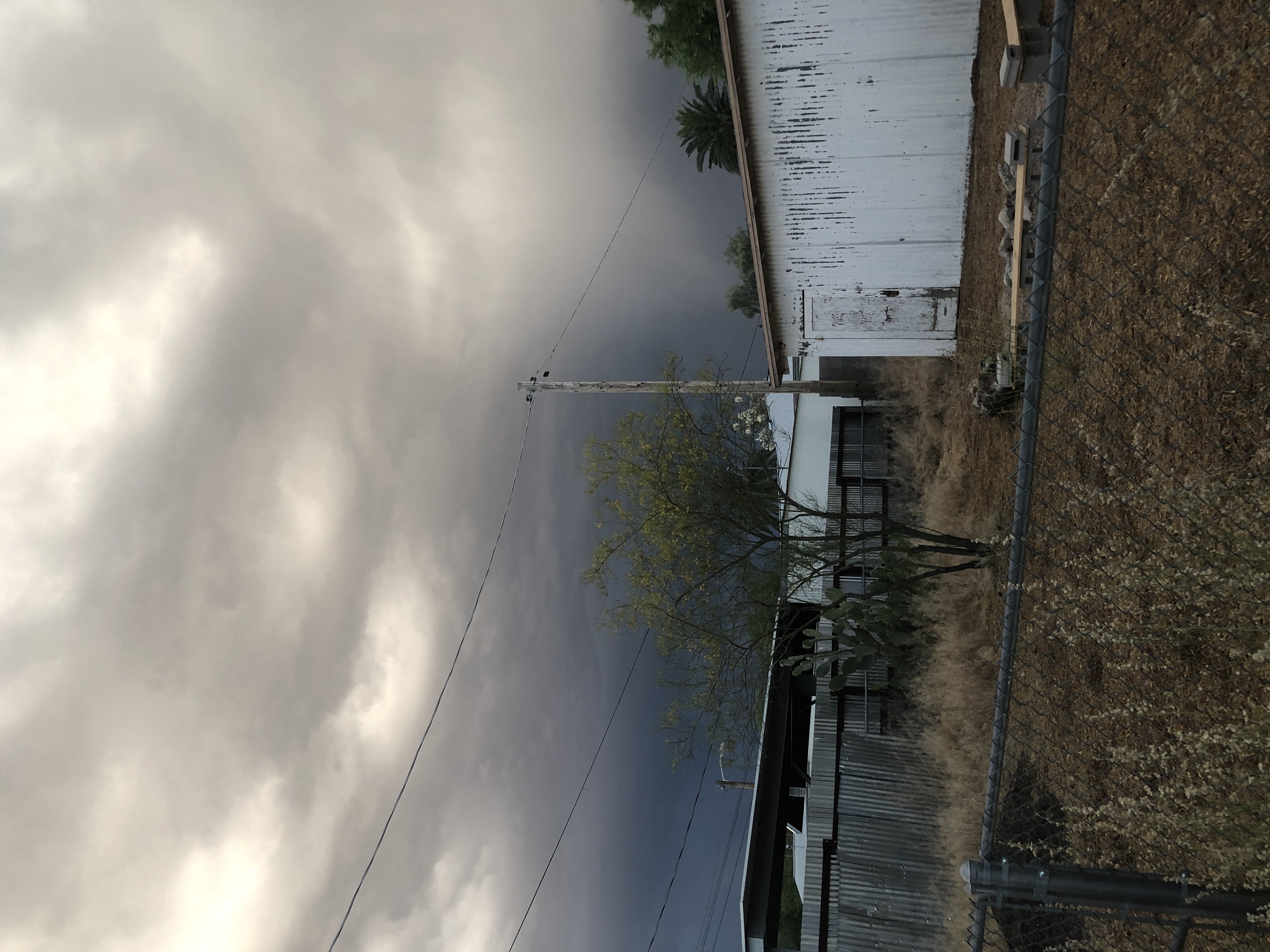 Monsoon sky and view of the backyard.