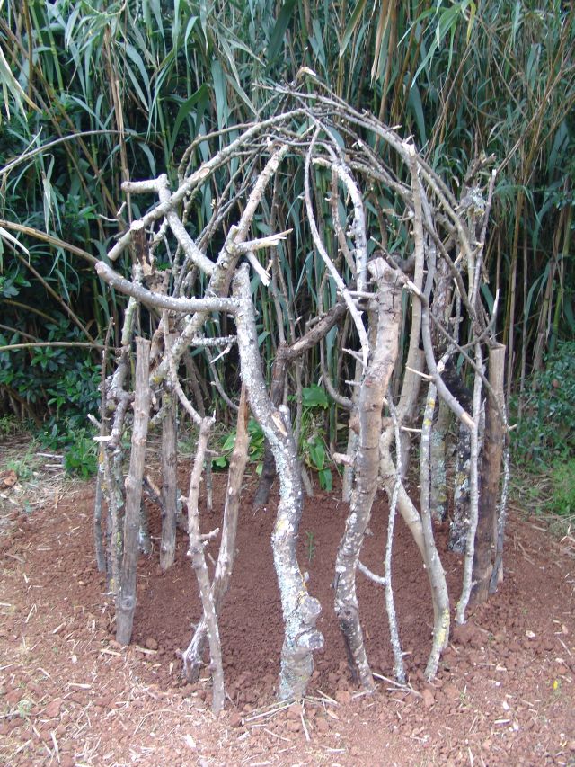 Untitled by Bertílio Martins