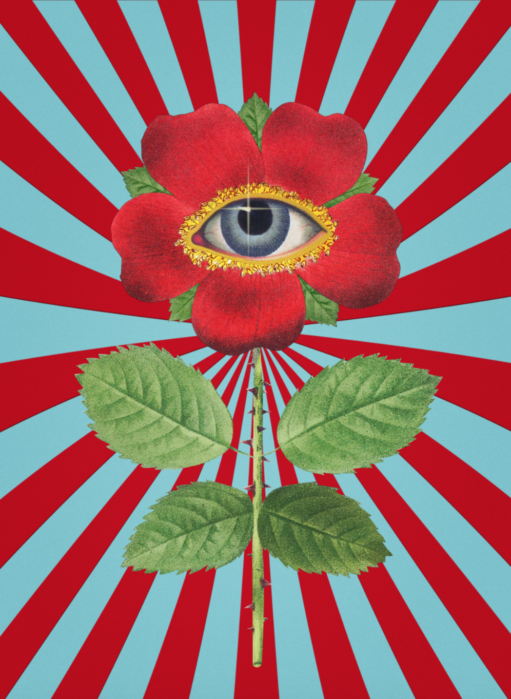 Blooming Vision, 2021