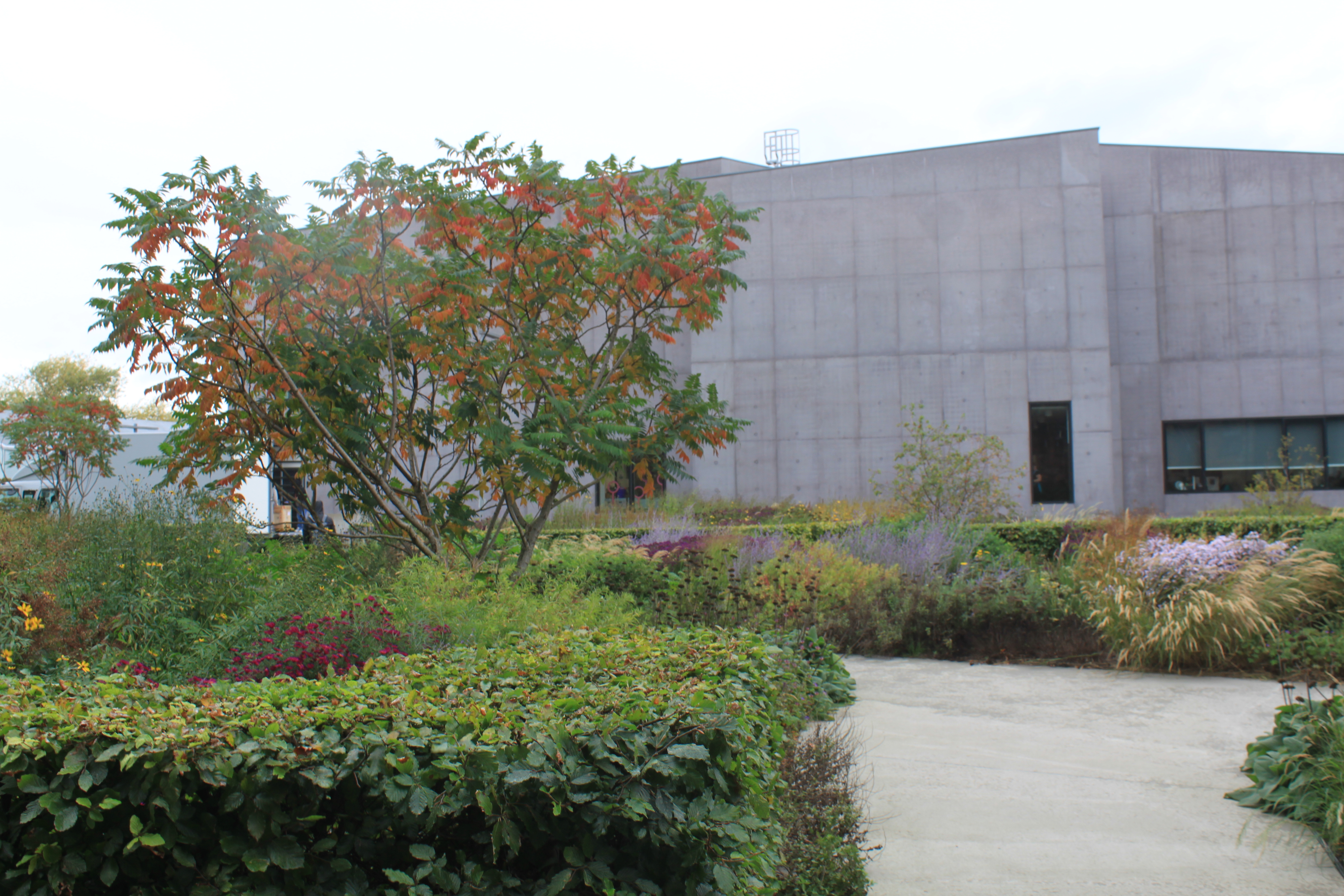 morning at Wakefield 📷 Cristina Audera