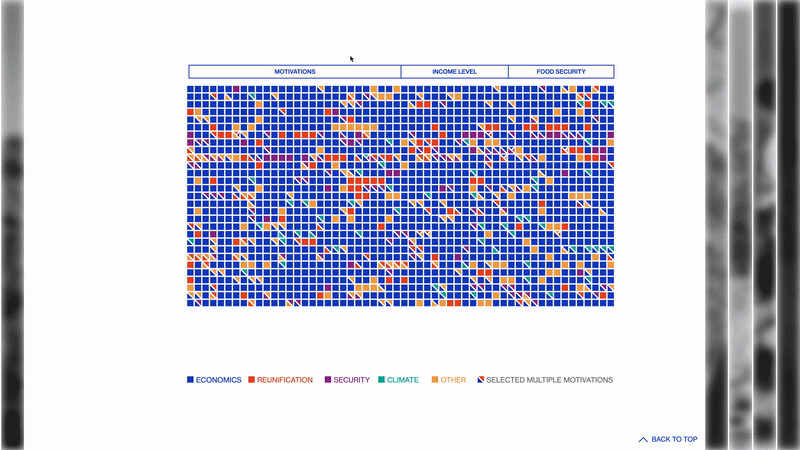 Explore the data visualization on migration motivations, in which financial insecurity is one of the main drivers.